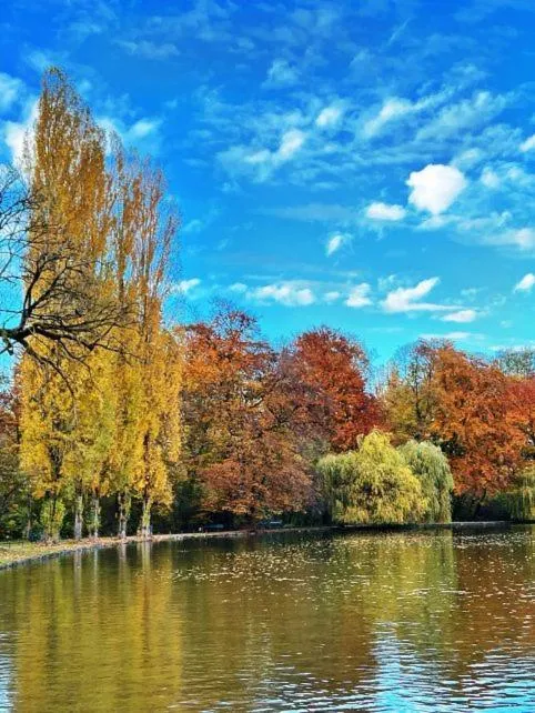 Area and facilities in Hotel Occam