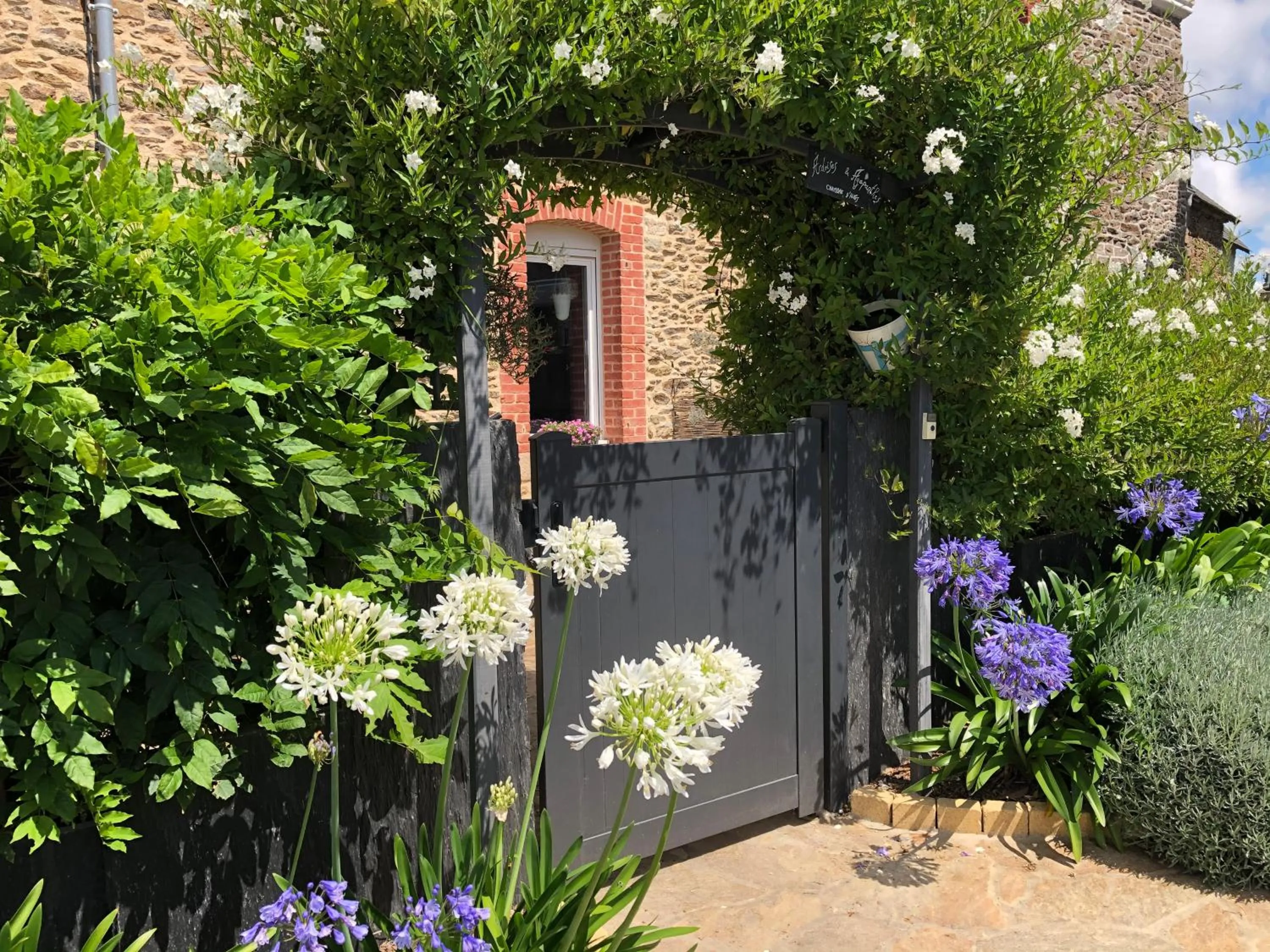 ardoises et agapanthes