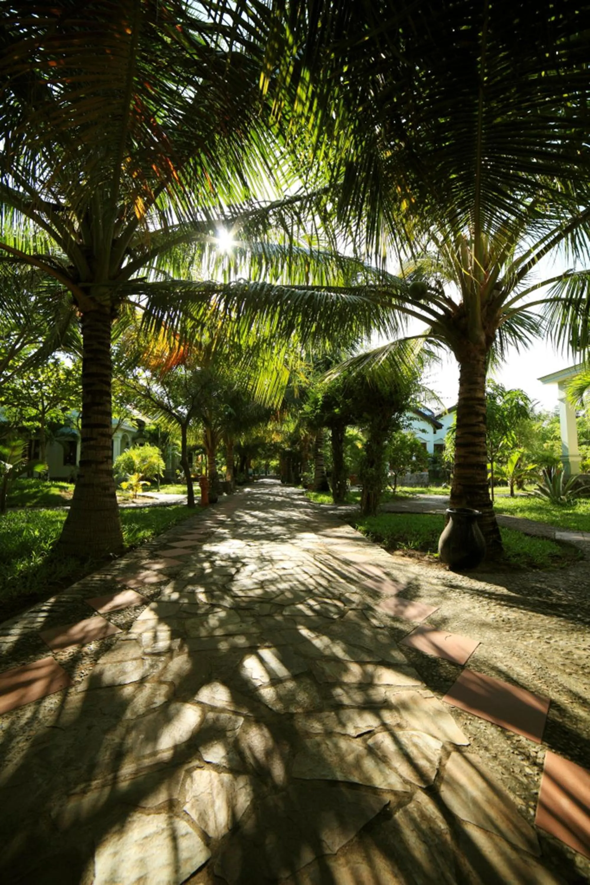 Garden in Gold Rooster Resort