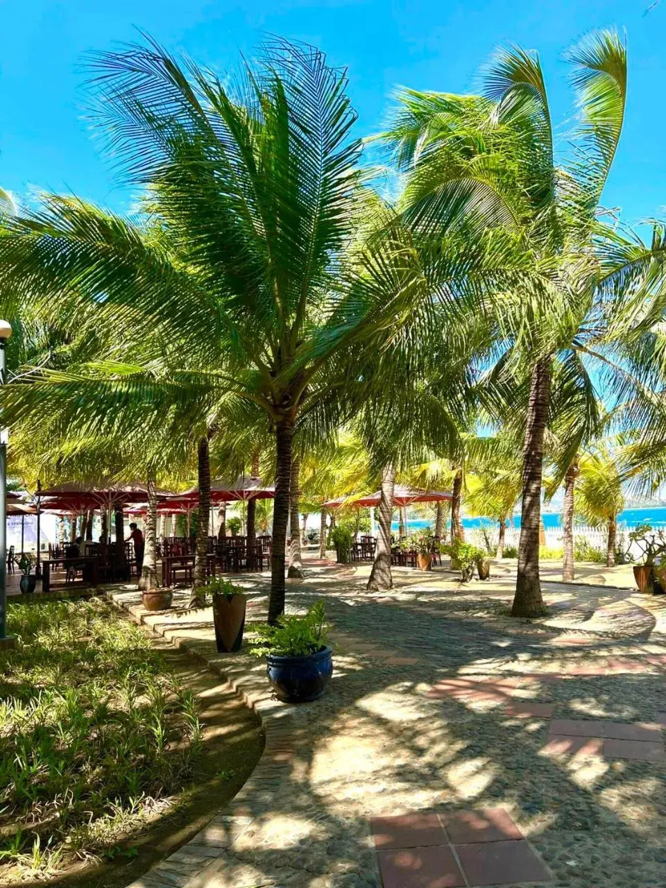 Restaurant/places to eat in Gold Rooster Resort Restaurant/places to eat in Gold Rooster Resort