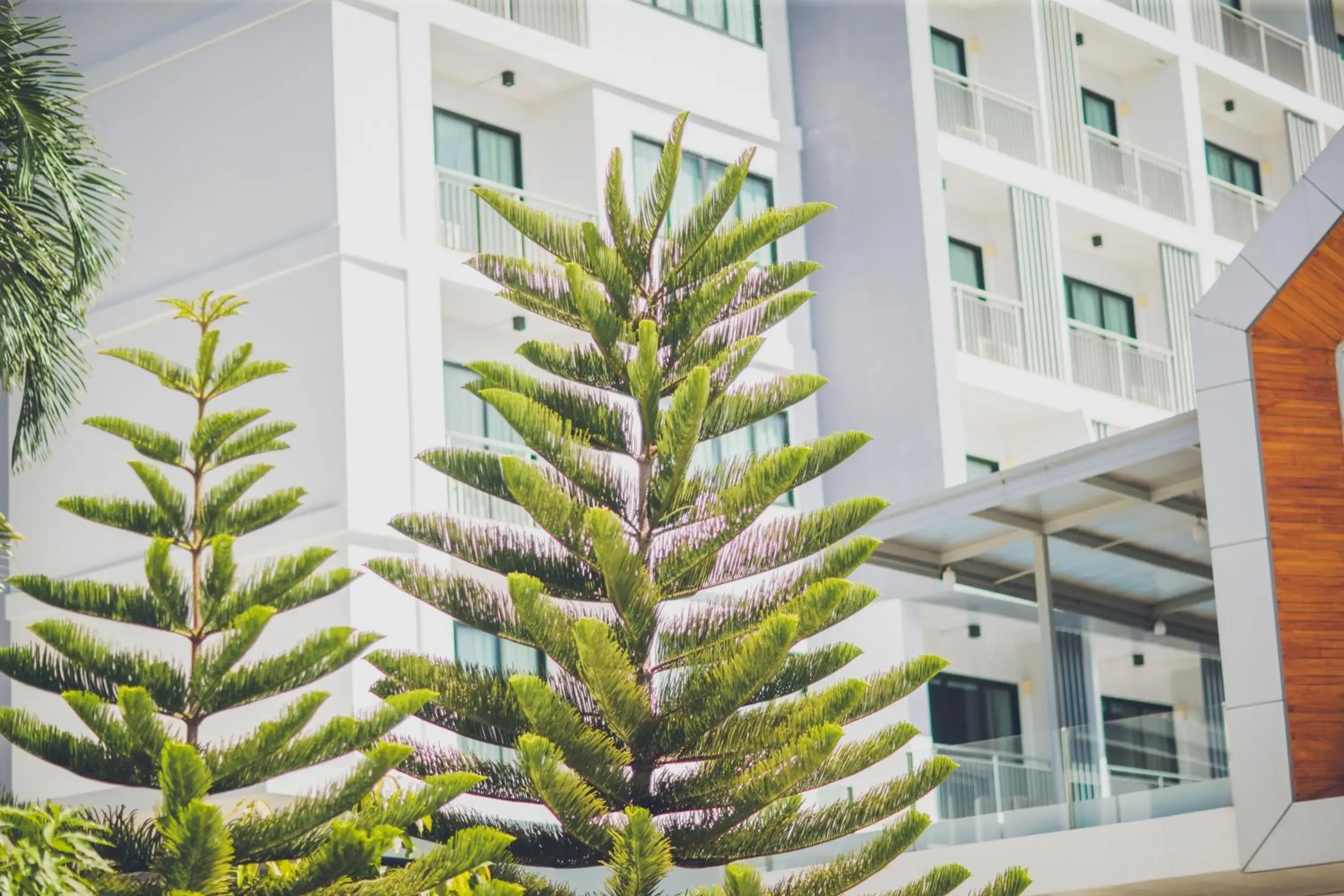 Property building in Phavina Hotel Rayong SHA Extra Plus Property building in Phavina Hotel Rayong SHA Extra Plus