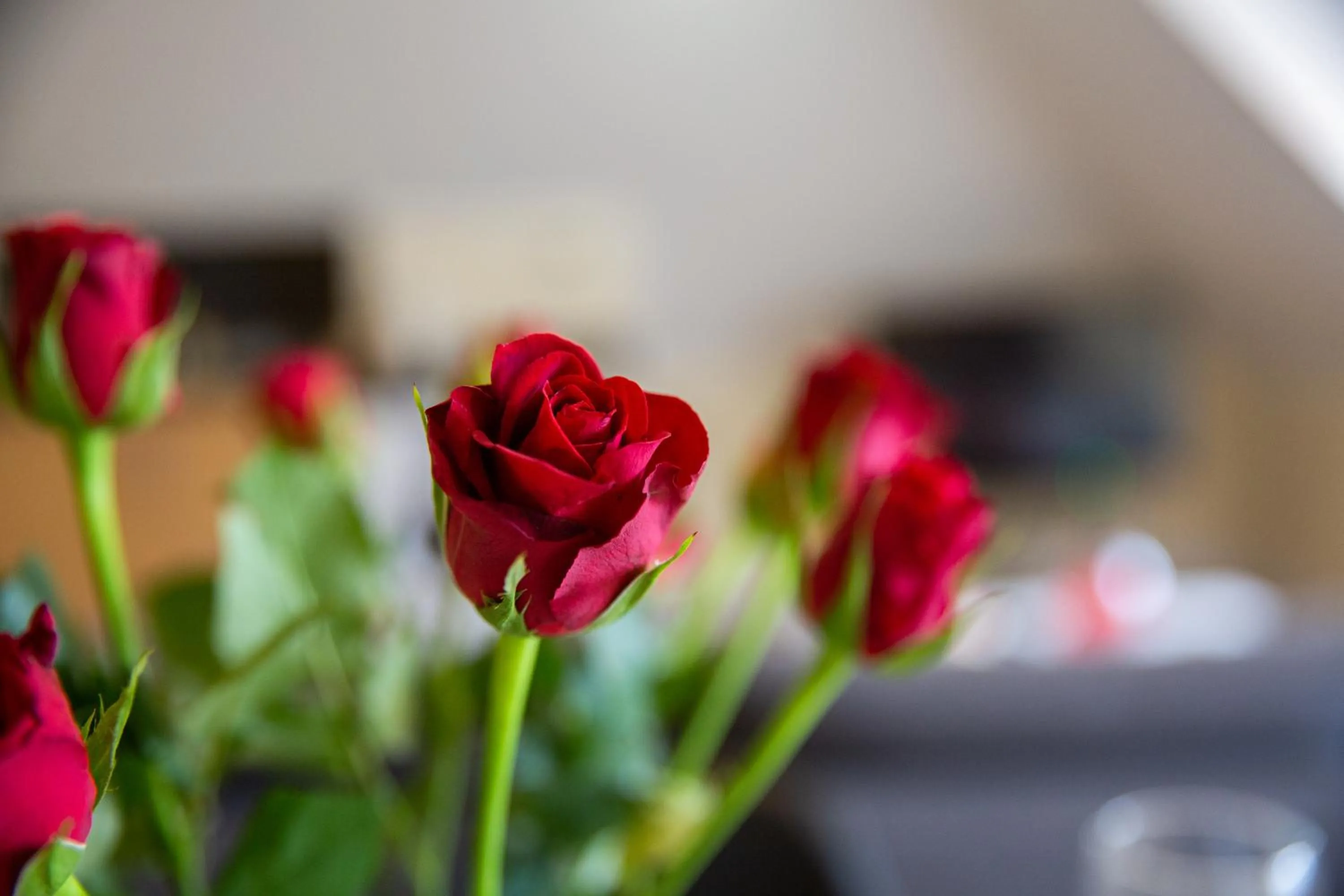 Living room in 2 Bedroom Penthouse, Clockhouse, Hoddessdon