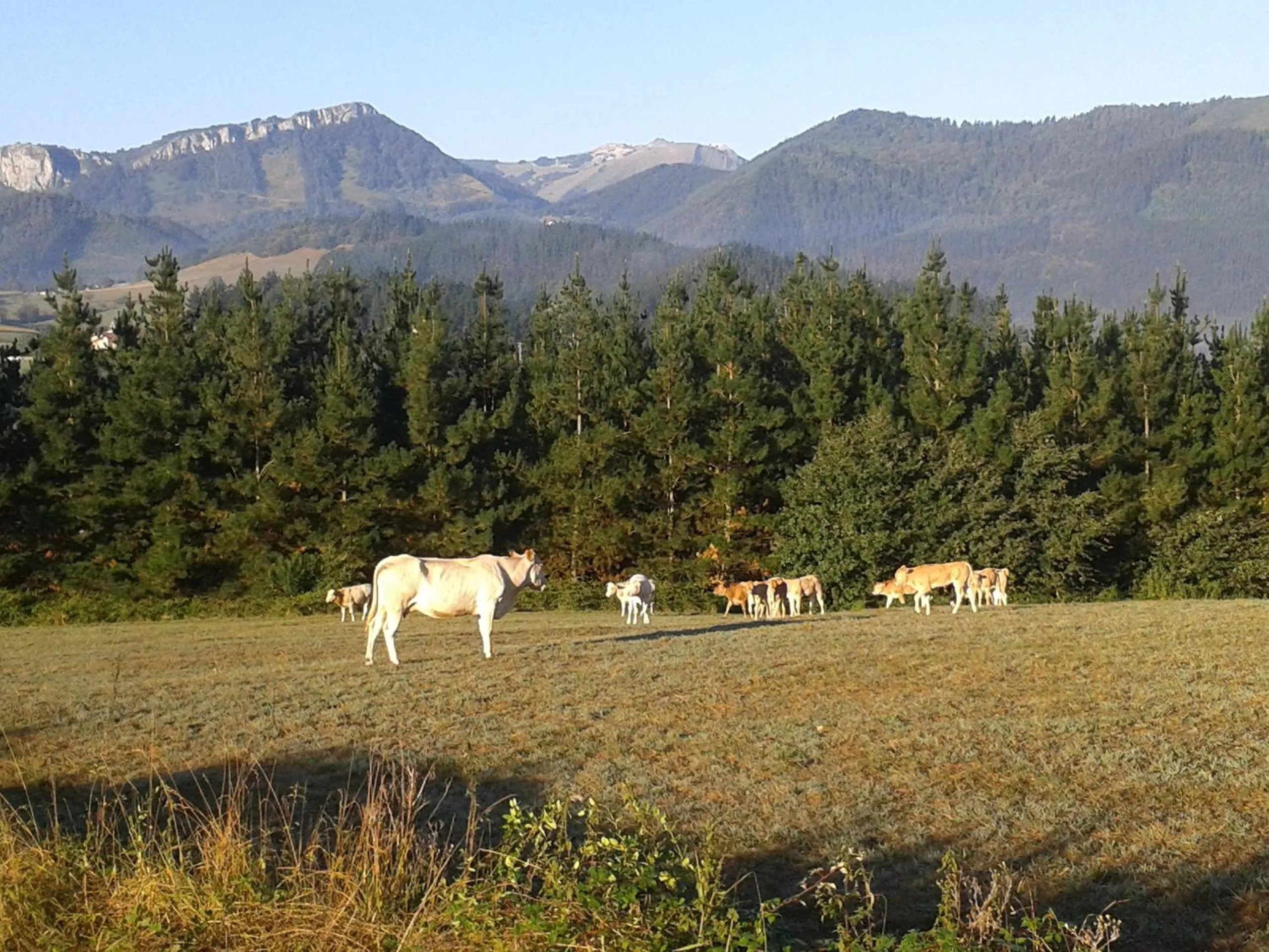 Day in Hotel Torre Zumeltzegi