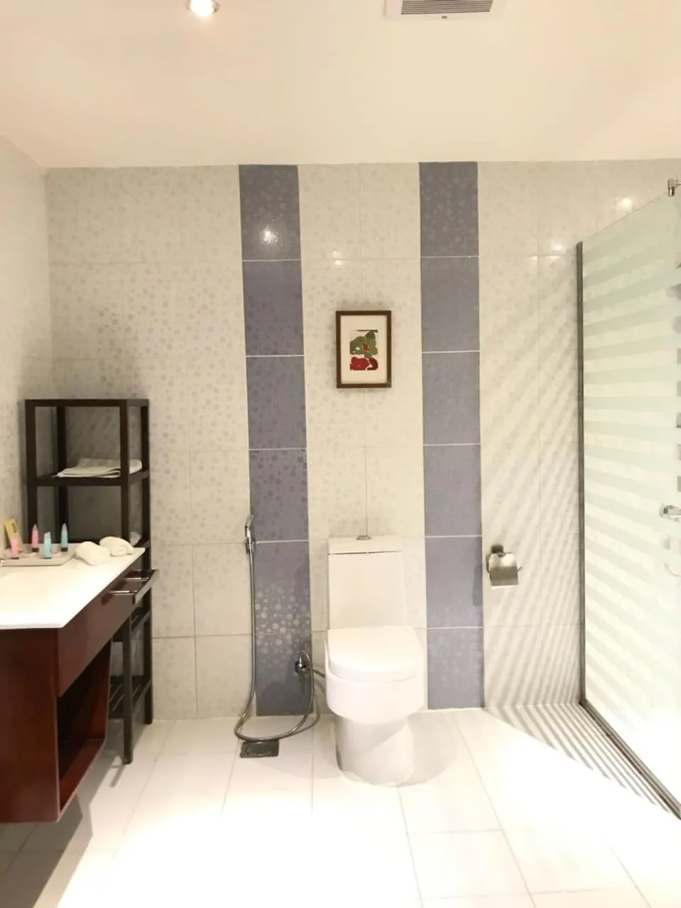 Toilet in Executive Suites