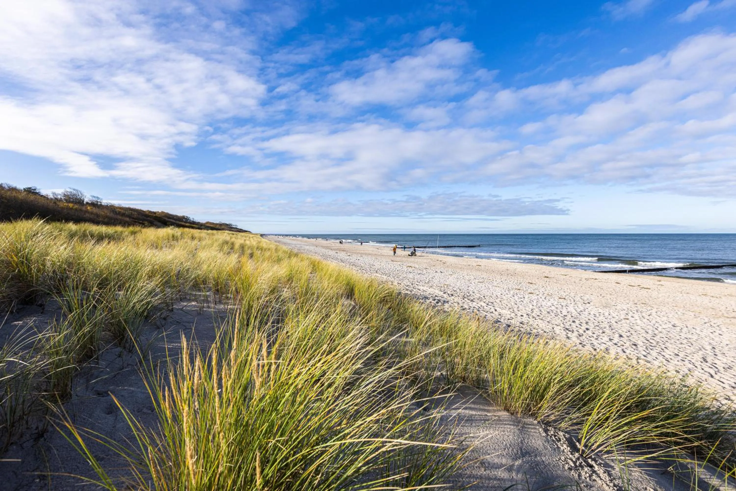 Beach in IFA Graal-Müritz Hotel & Spa