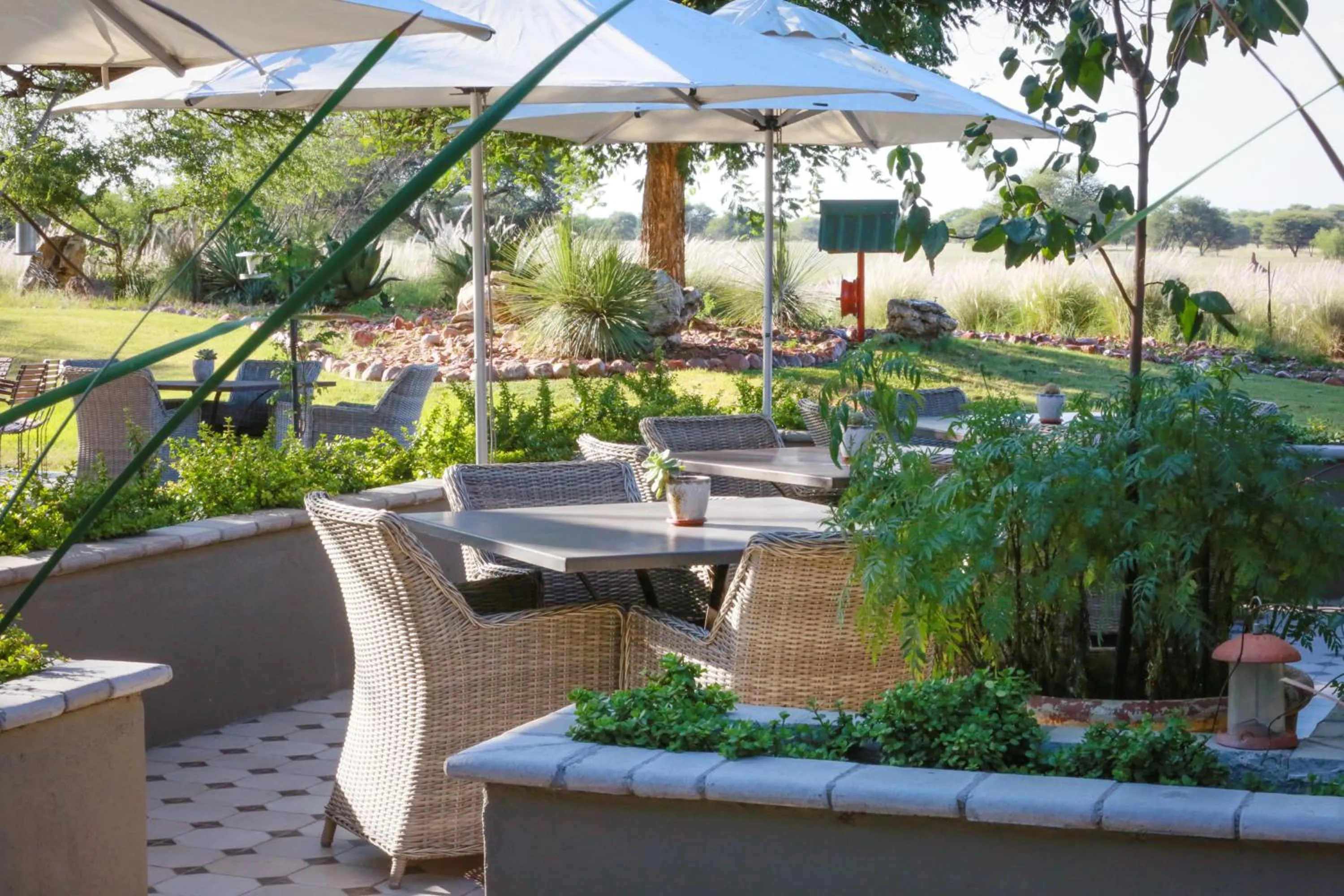 Garden in Otjiwa Safari Lodge