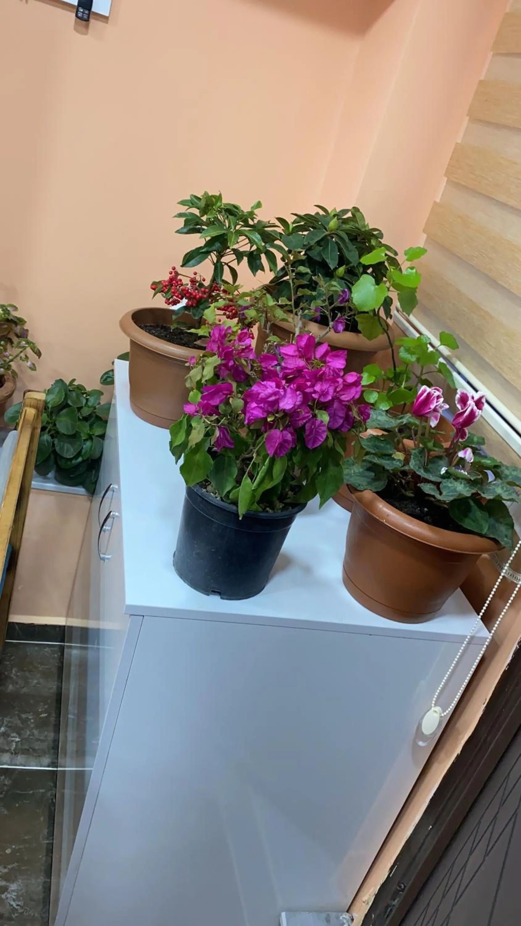 Breakfast in SULTANAHMET ıŞIL HOTEL