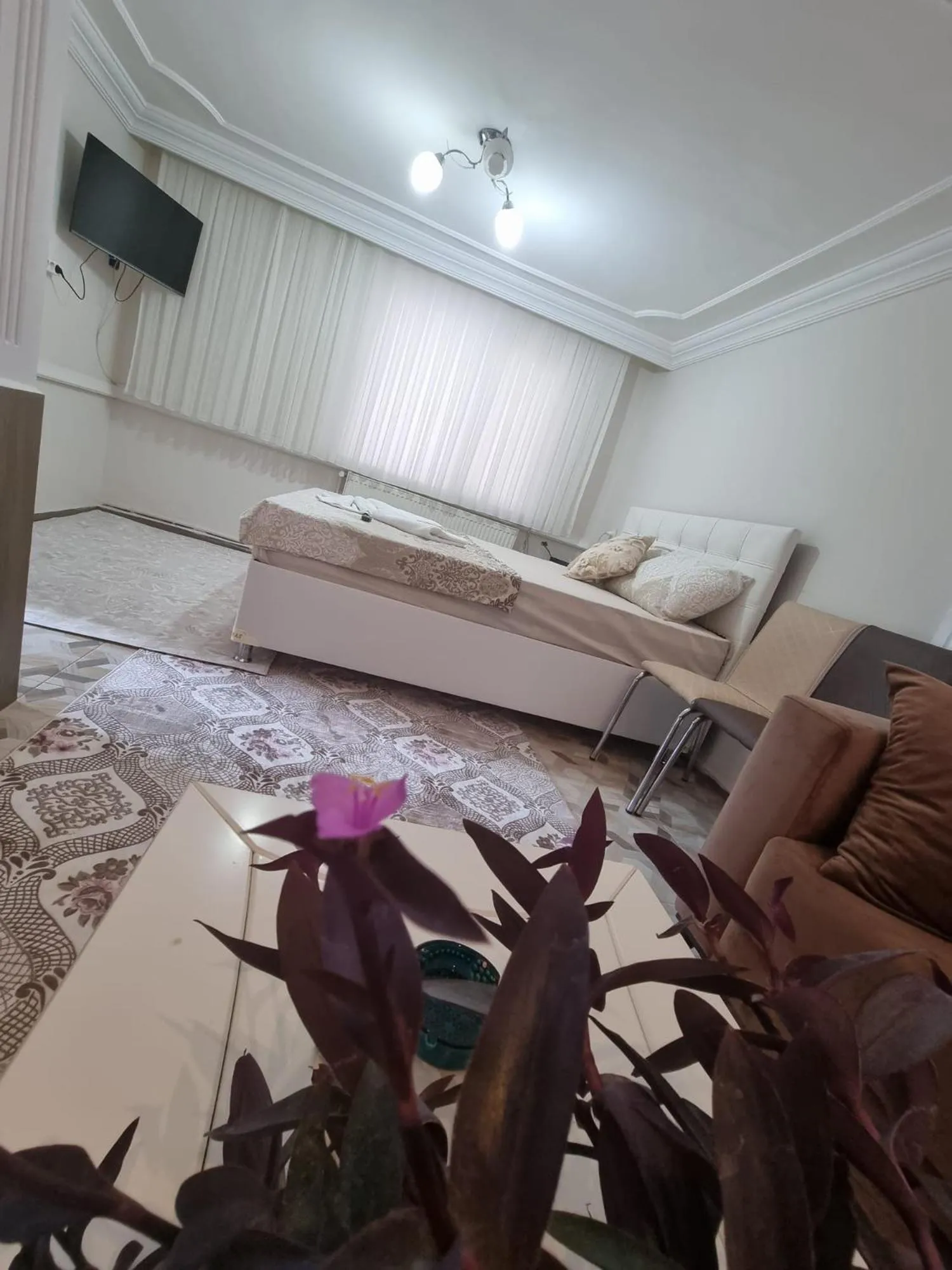 Meeting/conference room, Bed in SULTANAHMET ıŞIL HOTEL