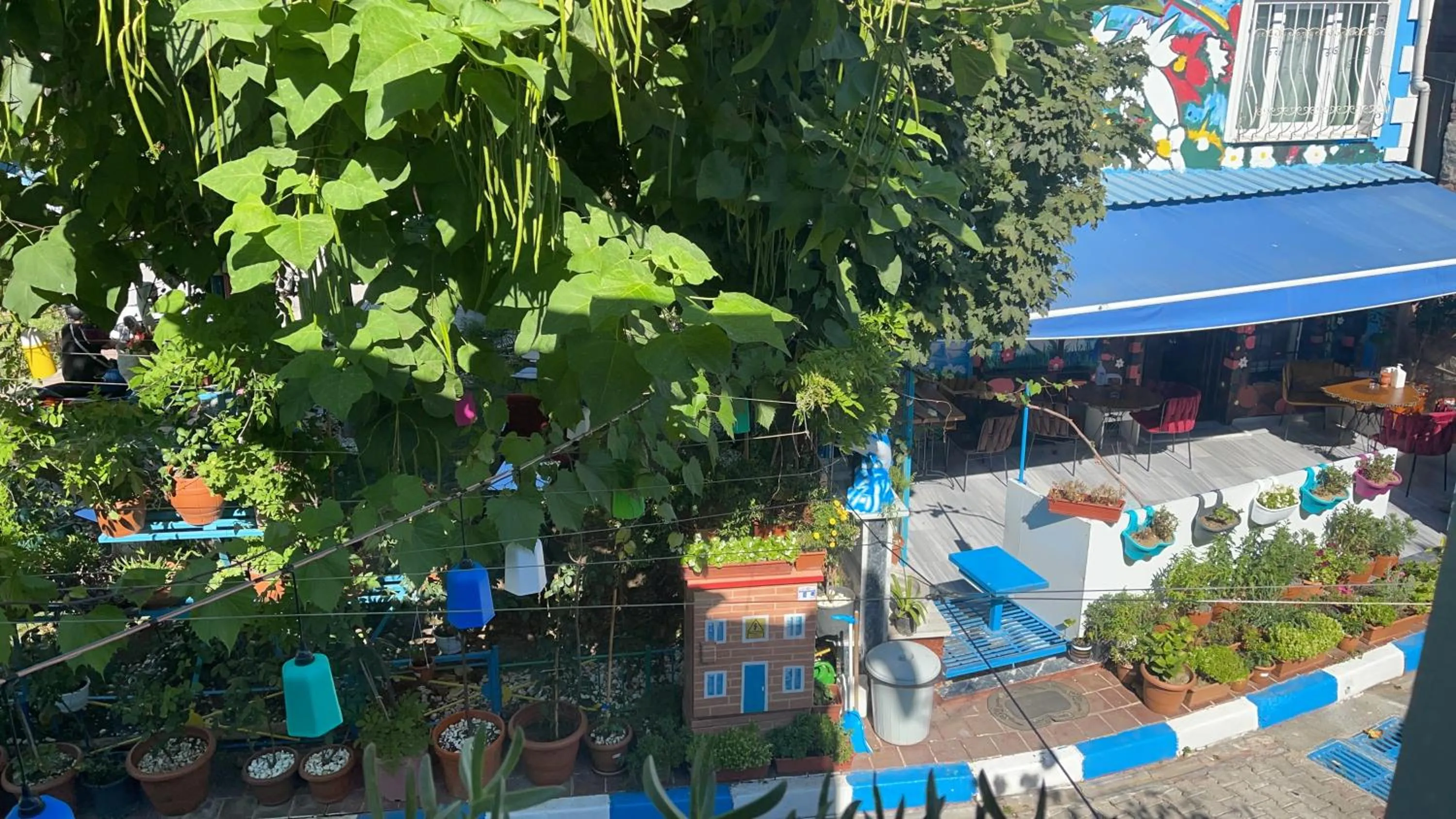 Breakfast, Pool View in SULTANAHMET ıŞIL HOTEL