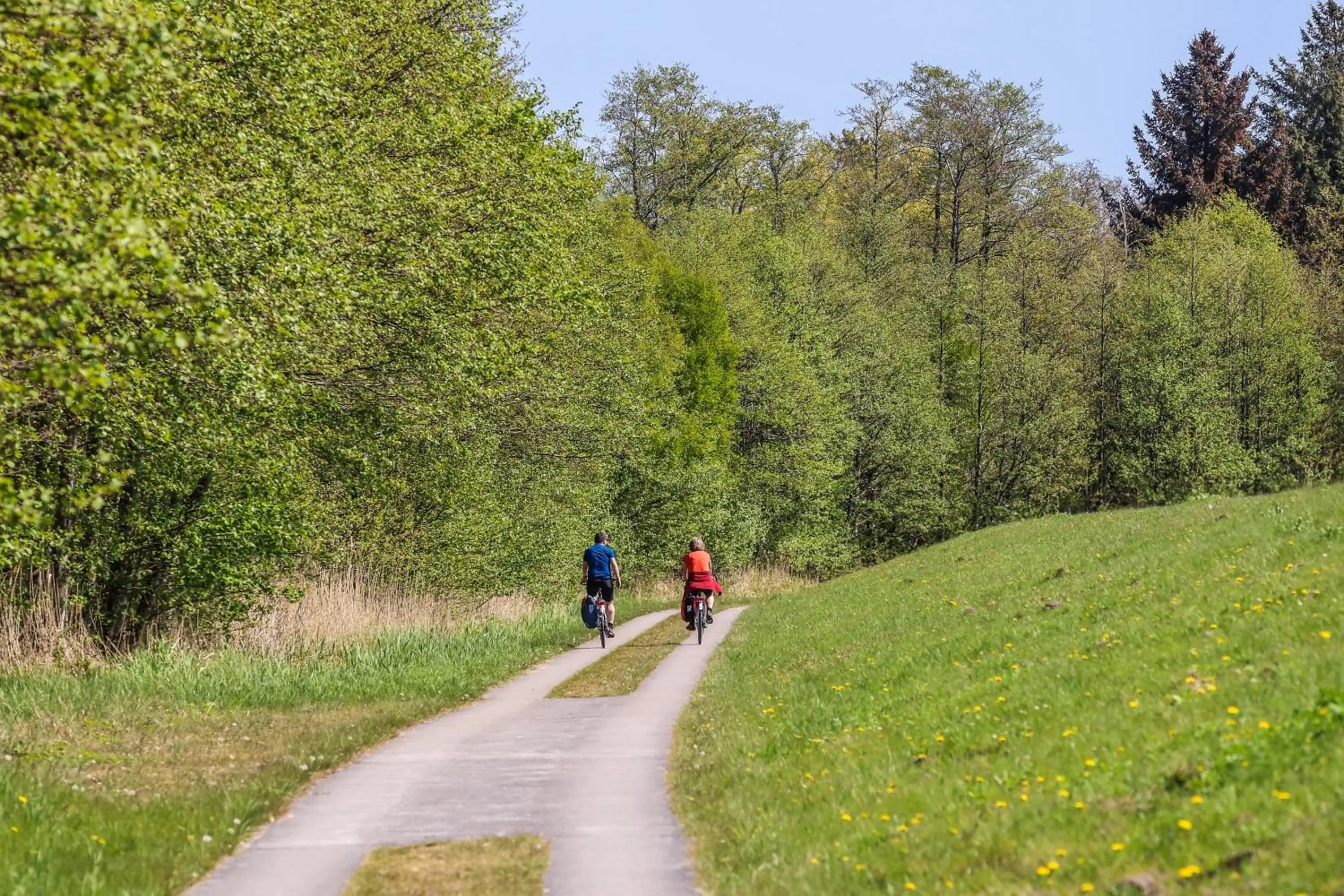 Hiking in Hotel Schlösschen Sundische Wiese Zingst