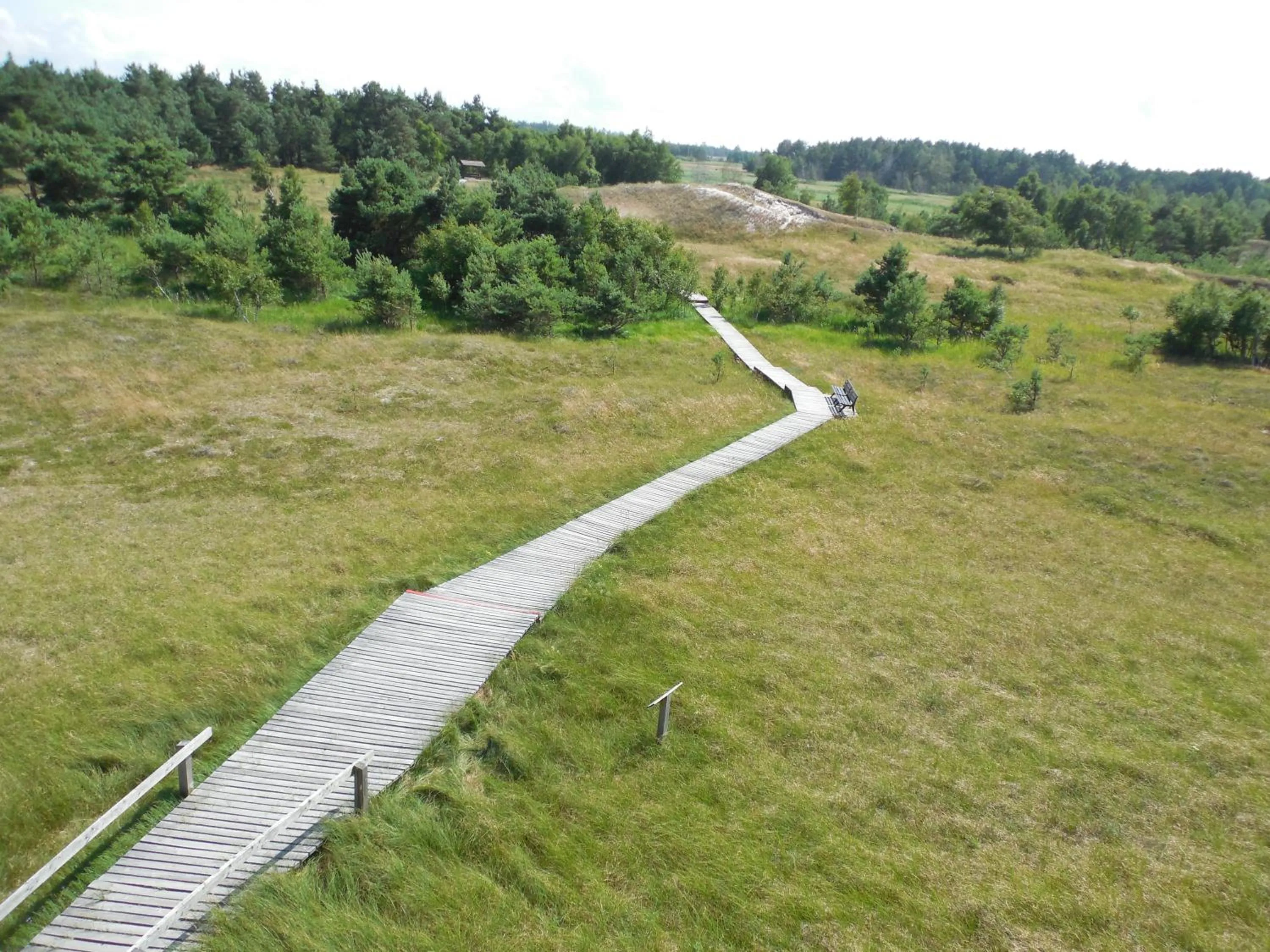 Natural landscape in Hotel Schlösschen Sundische Wiese Zingst
