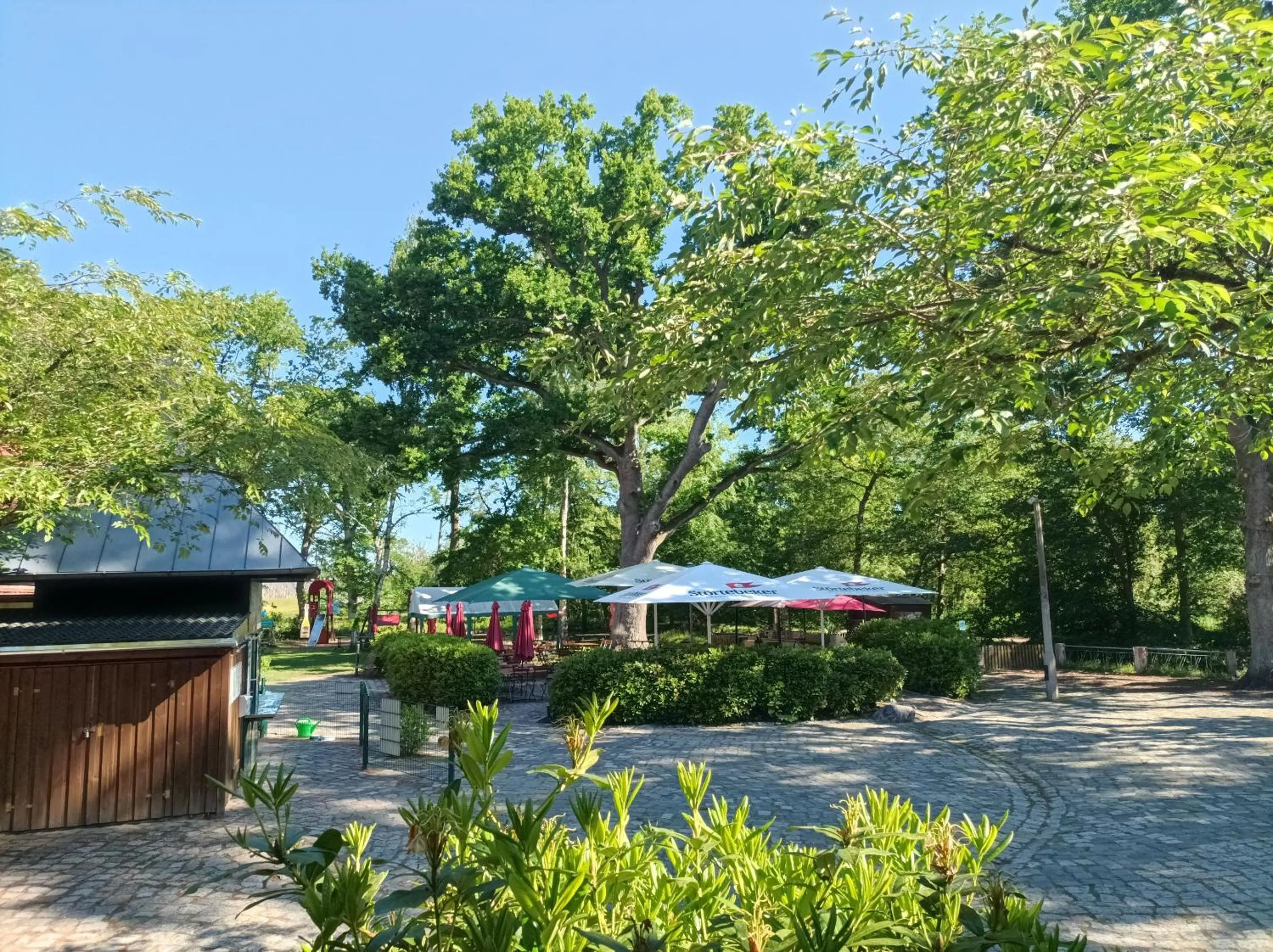 Garden in Hotel Schlösschen Sundische Wiese Zingst