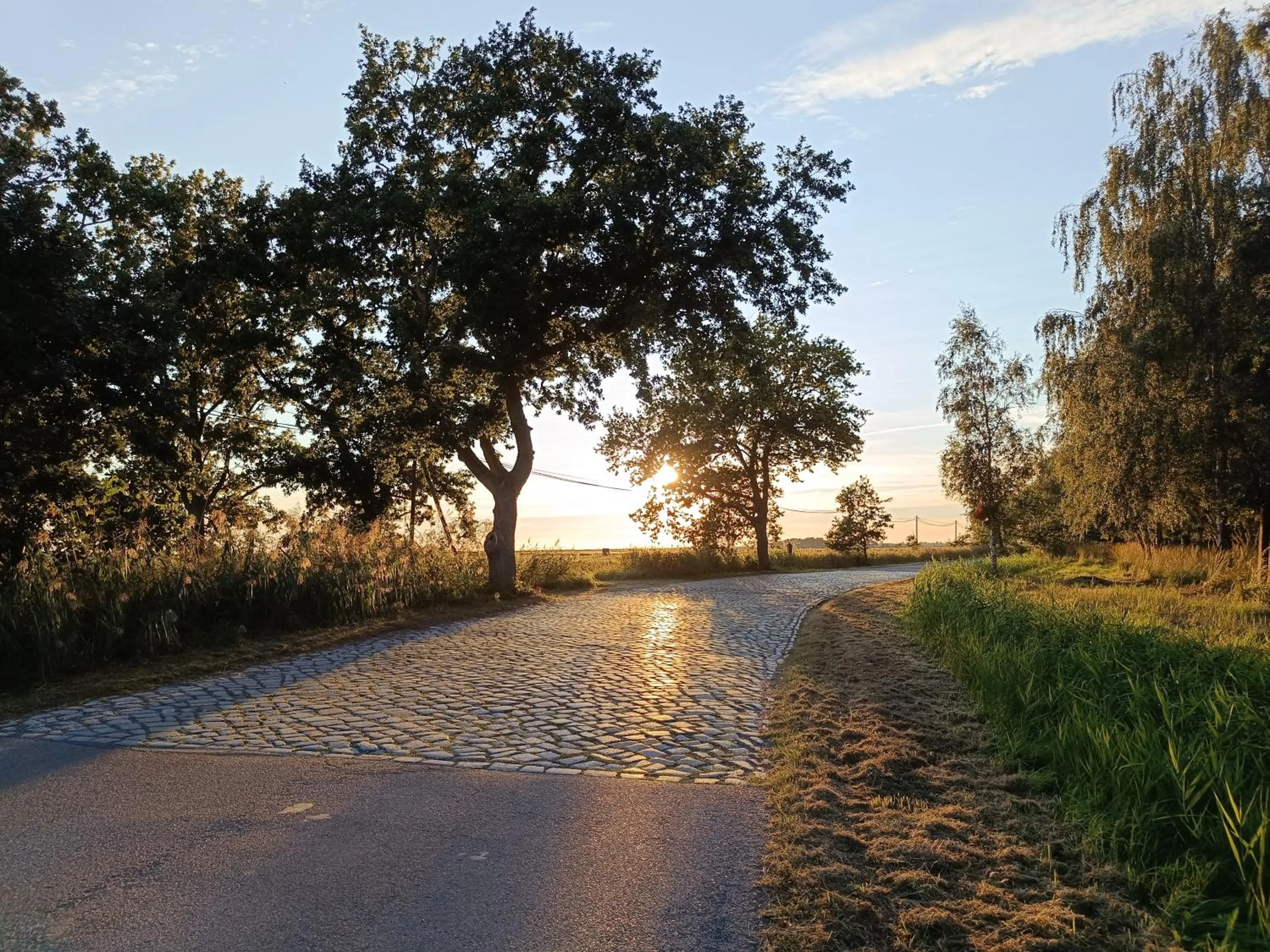 Cycling in Hotel Schlösschen Sundische Wiese Zingst