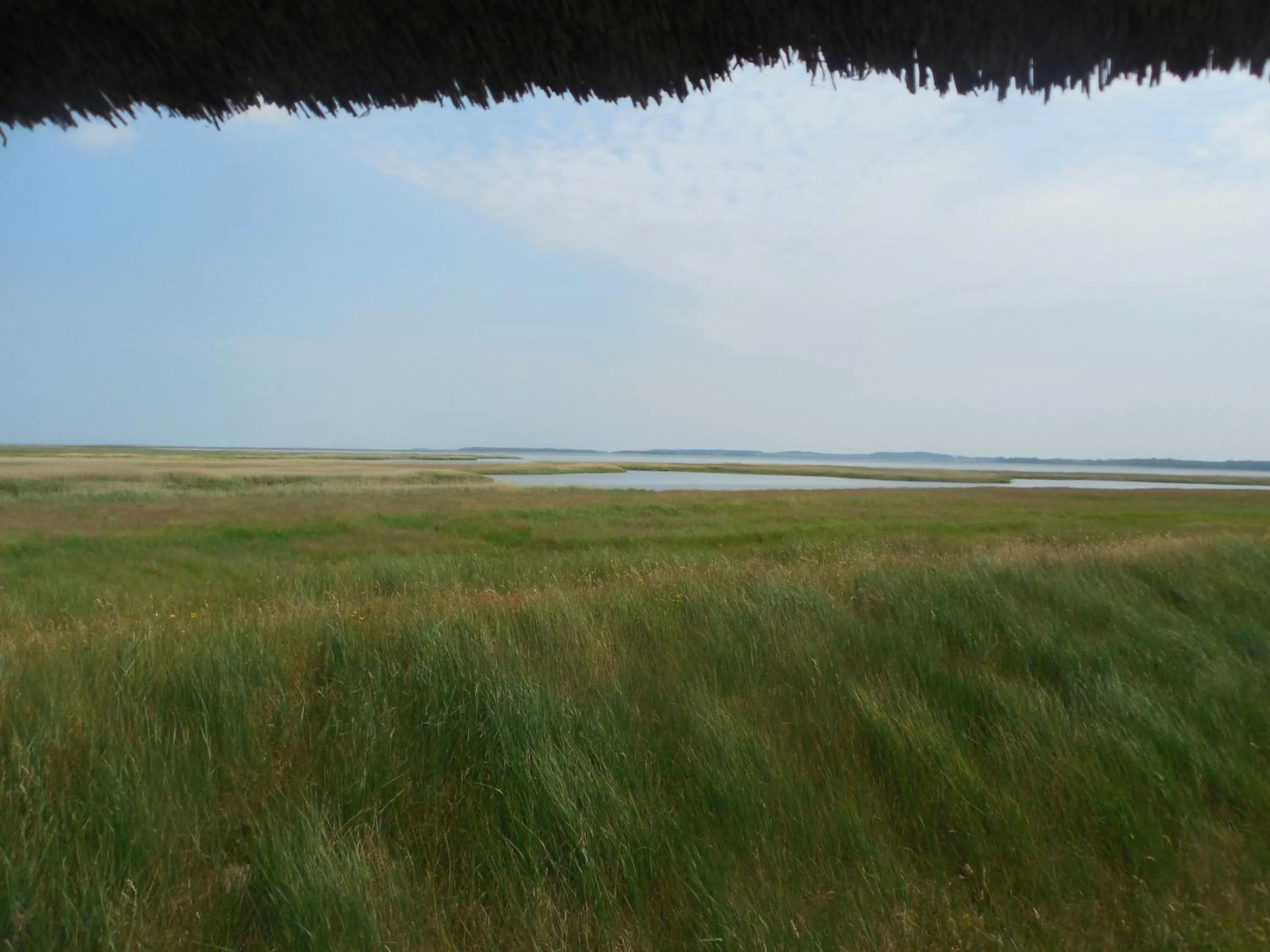 Hiking in Hotel Schlösschen Sundische Wiese Zingst