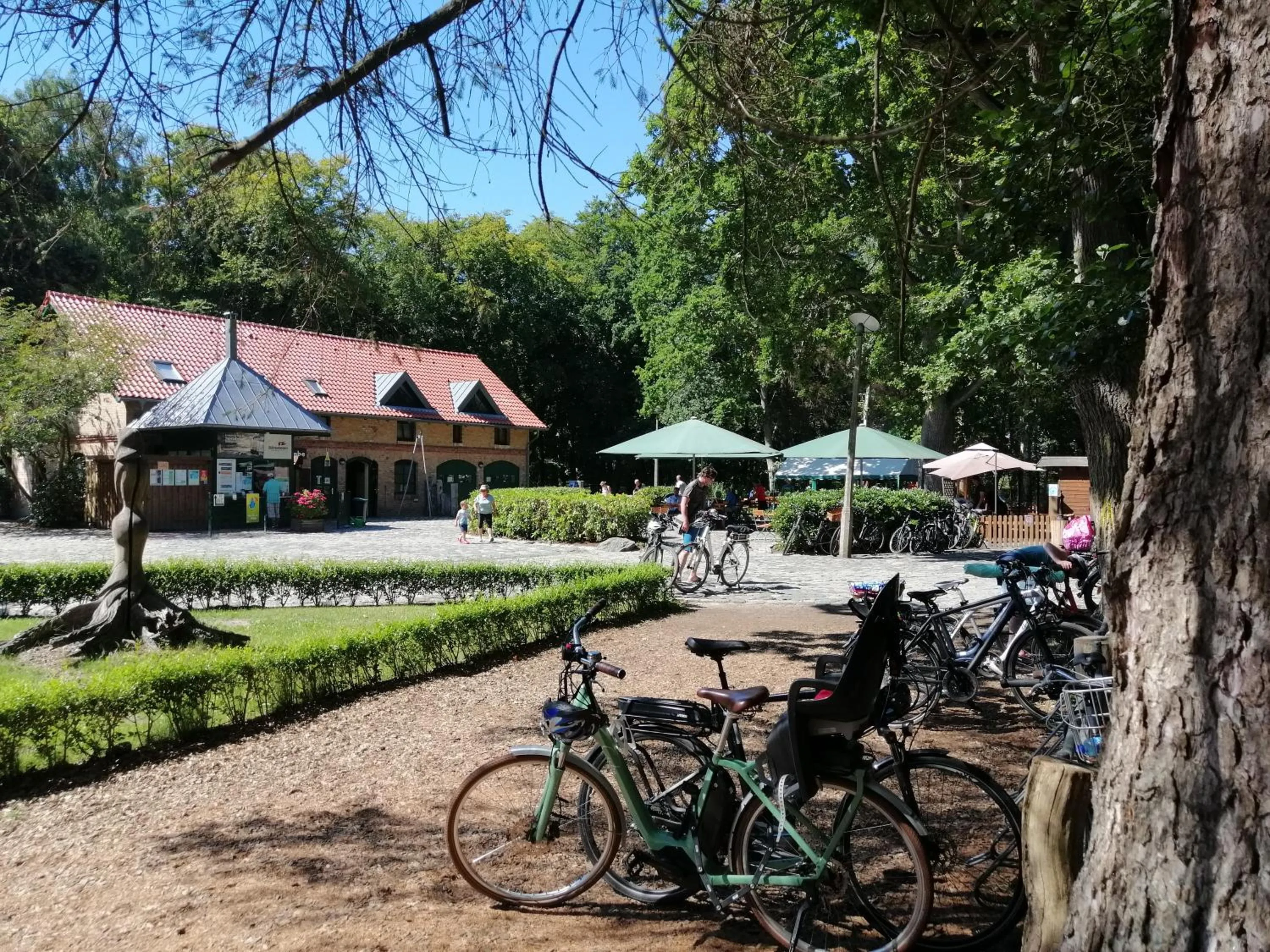 Garden in Hotel Schlösschen Sundische Wiese Zingst
