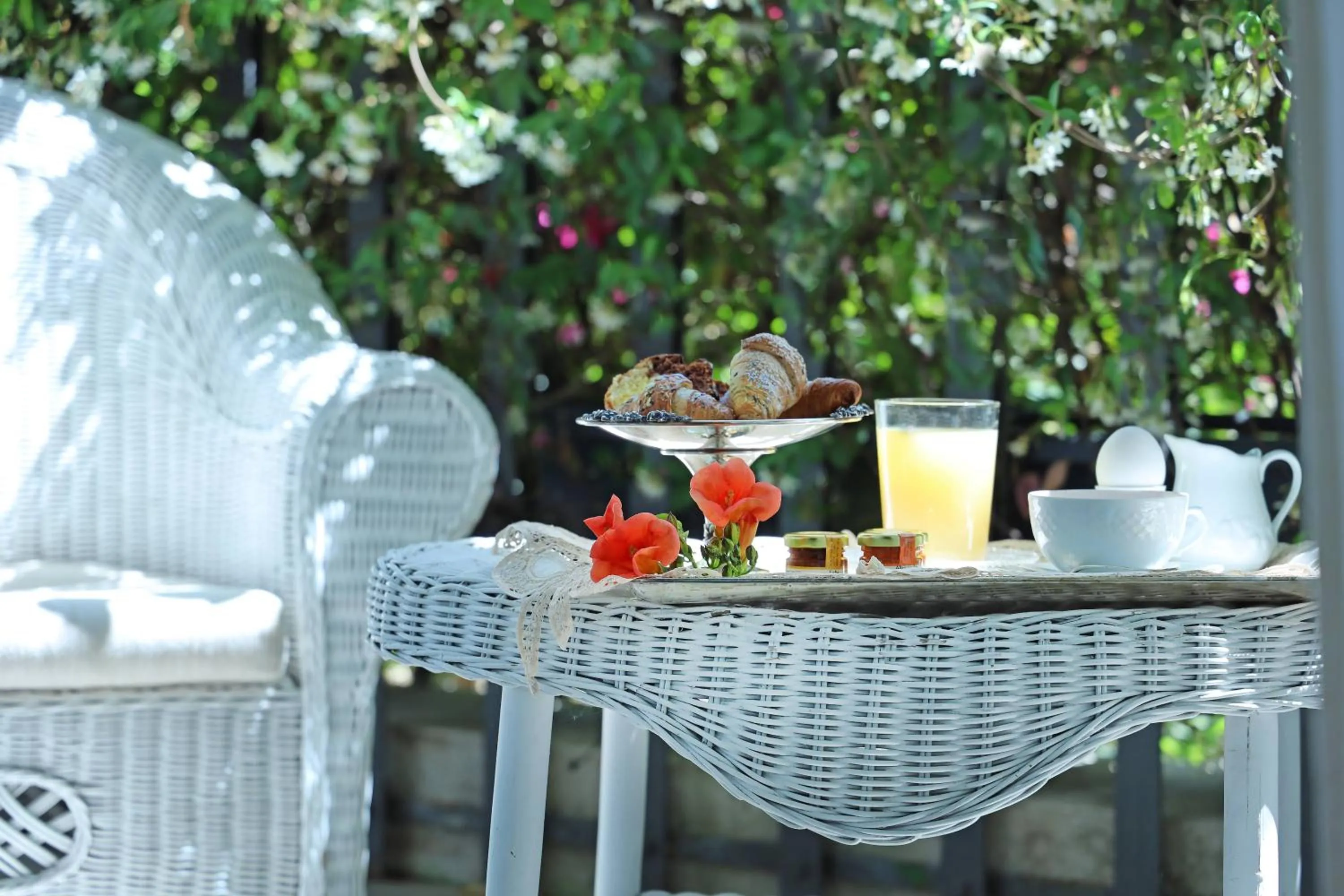 Garden in Maison D'Enrì