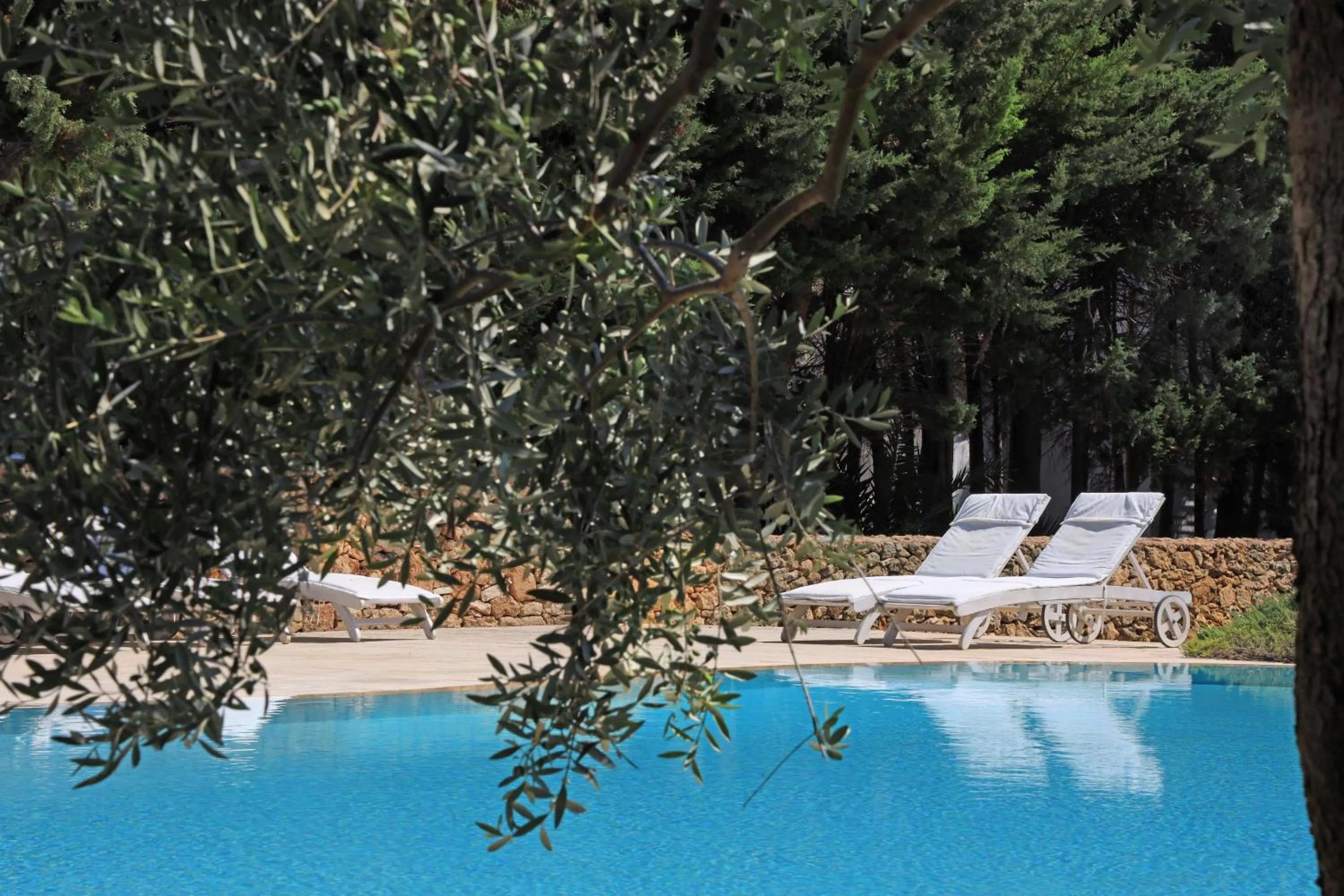 Swimming pool in Maison D'Enrì