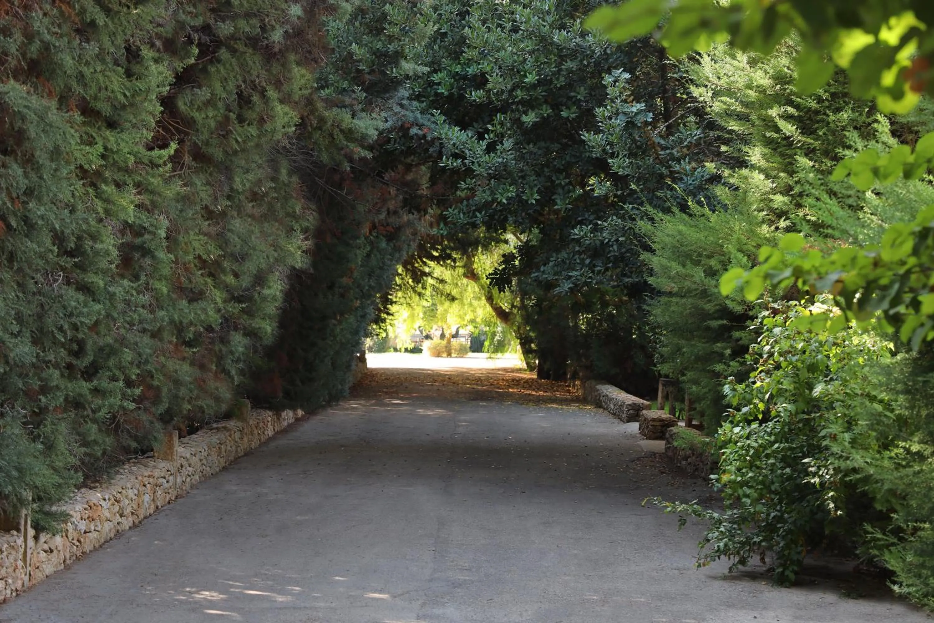 Natural landscape in Maison D'Enrì