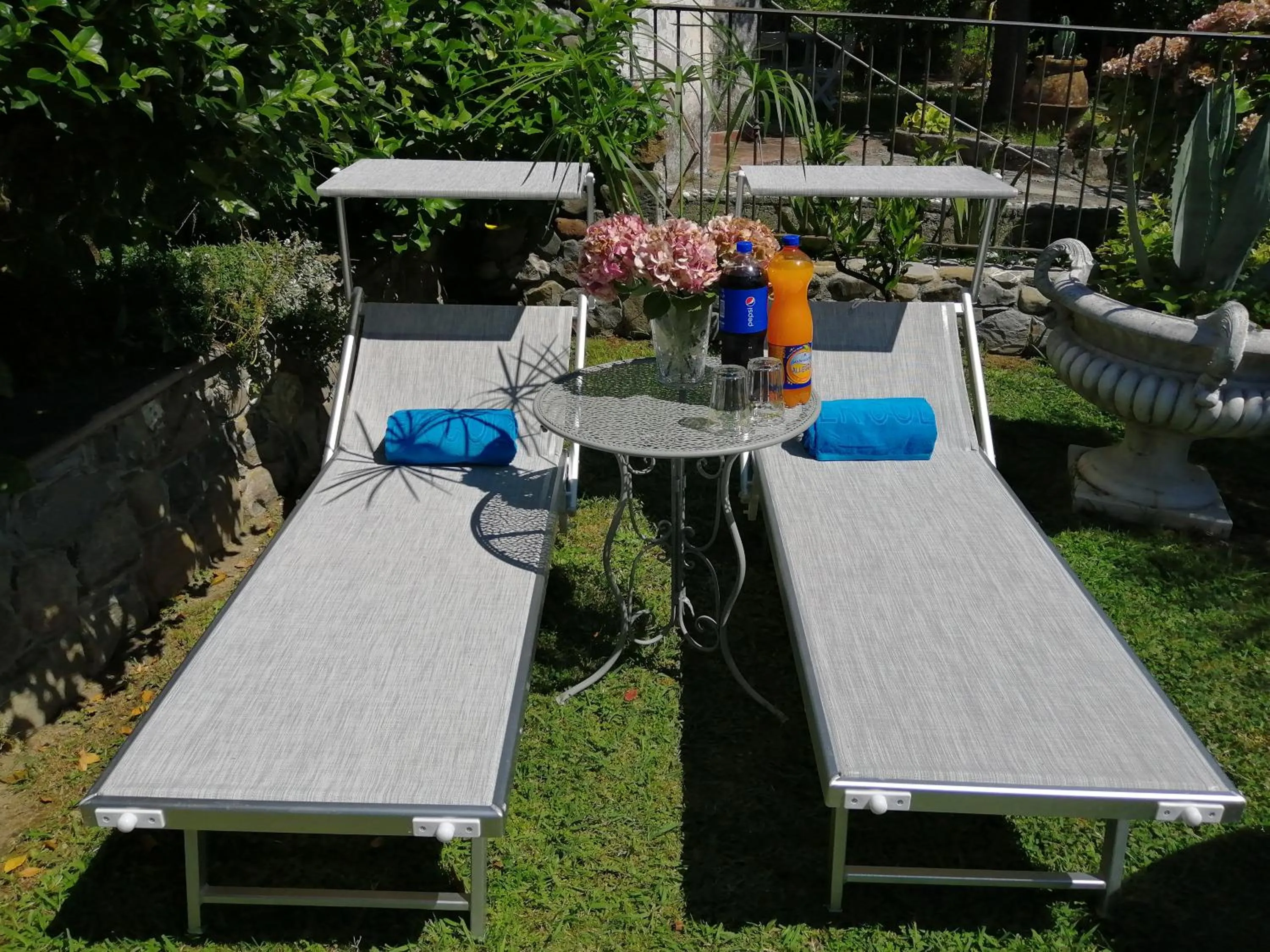 Garden in jasmine cottage