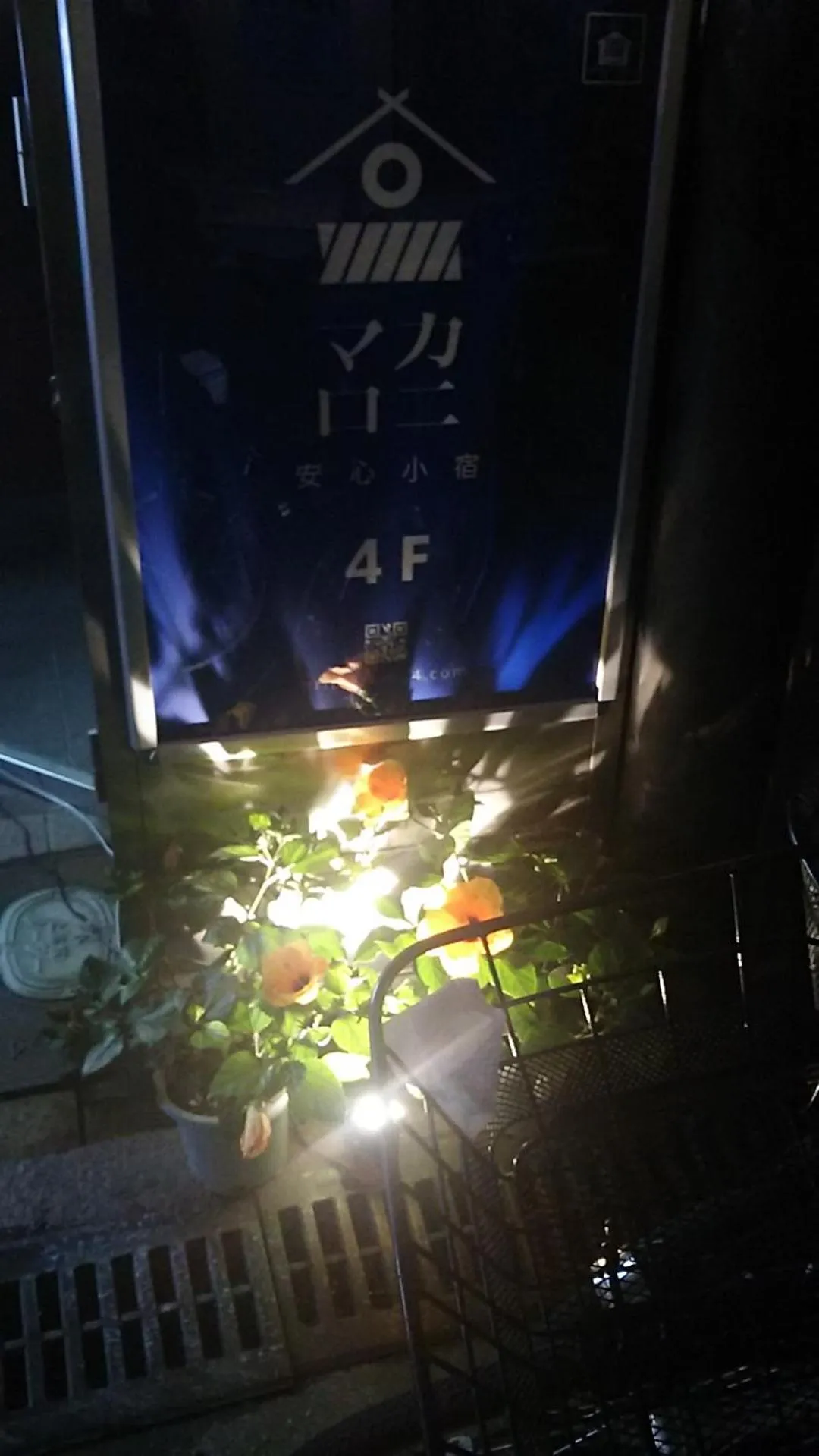 ホテル4Fマカロニ