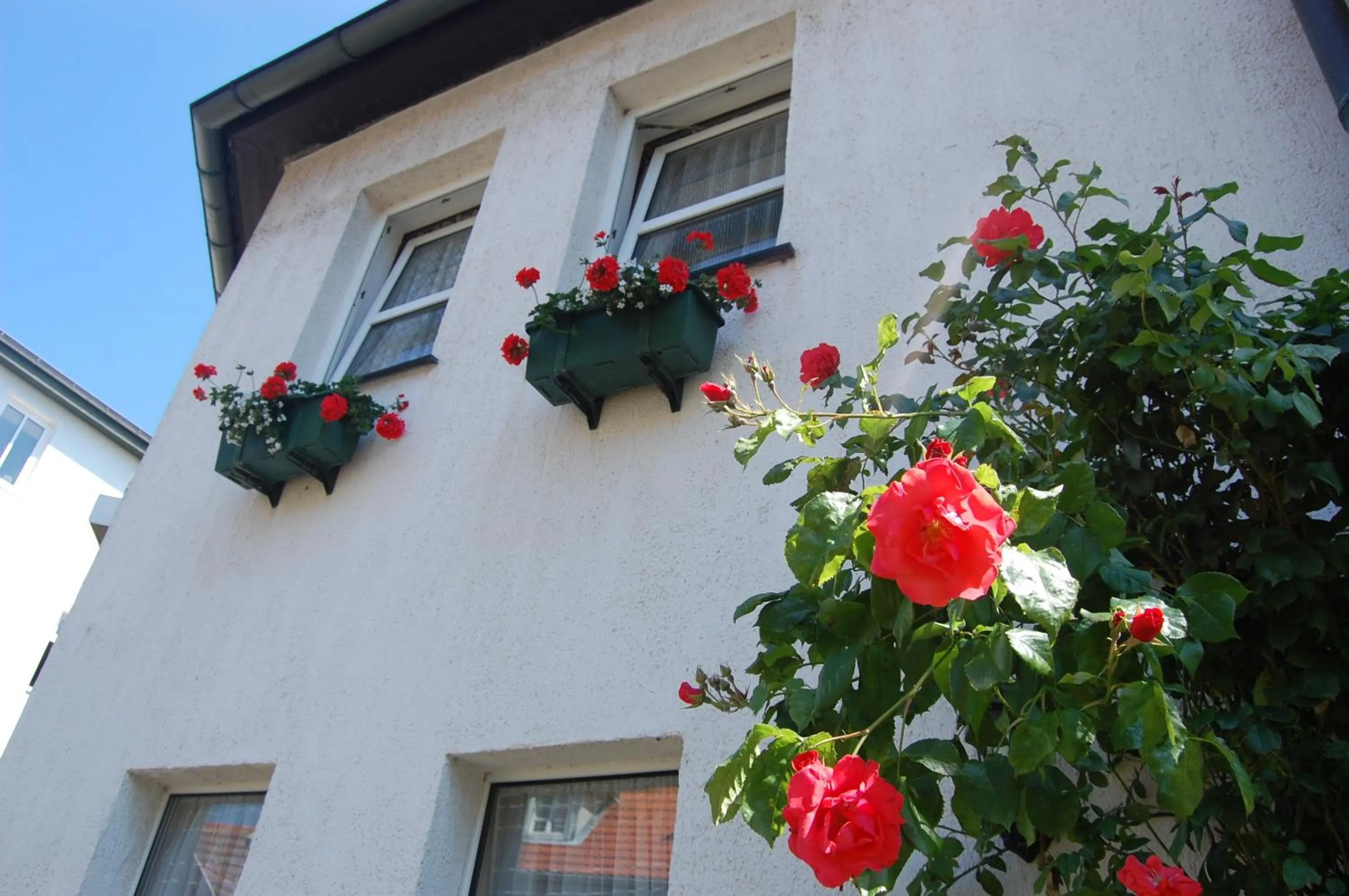Bird's eye view in Hotel Nordlicht