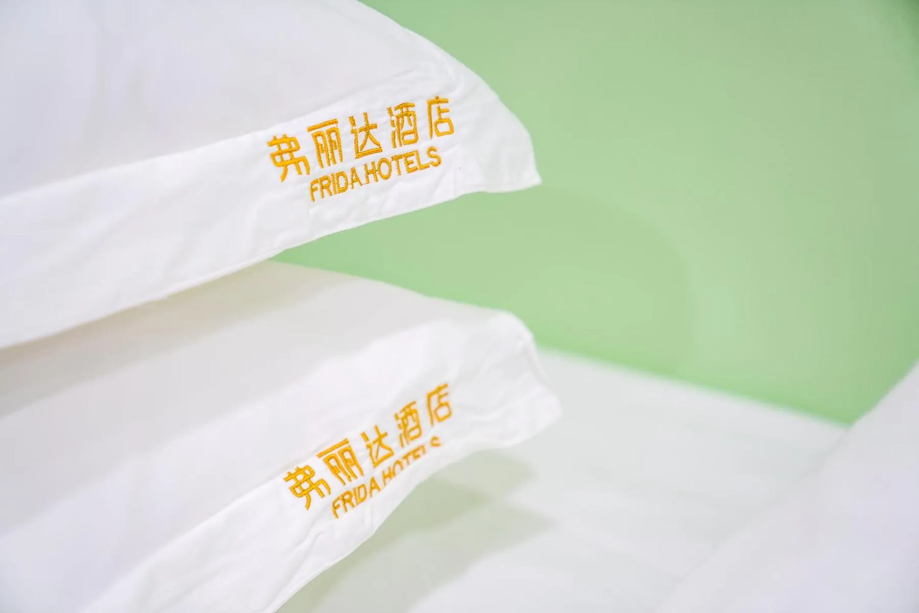 Property logo or sign in Frida Hotels Guangzhou Baiyun International airport