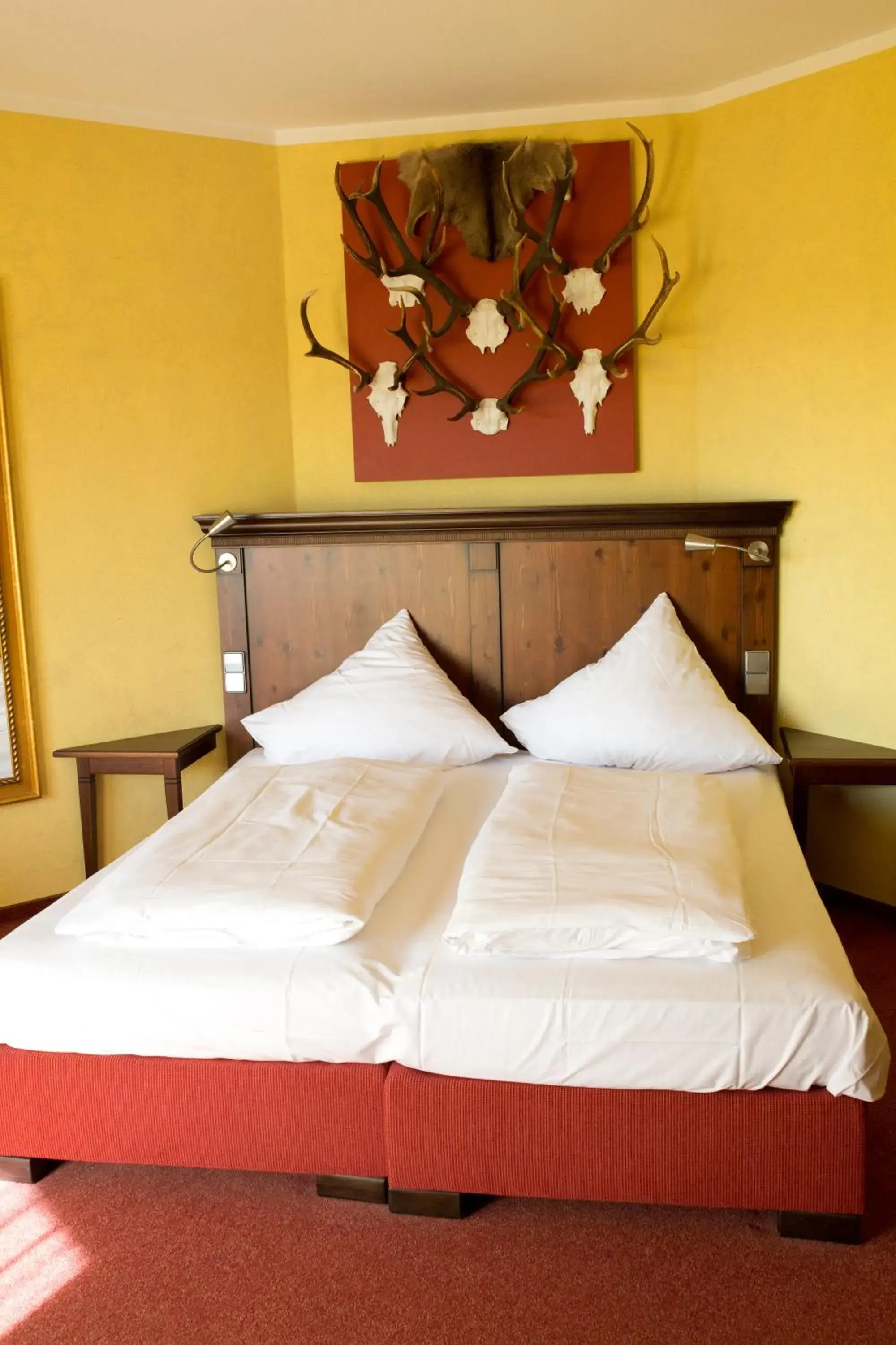 Double Room in Hotel Hirsch Double Room in Hotel Hirsch