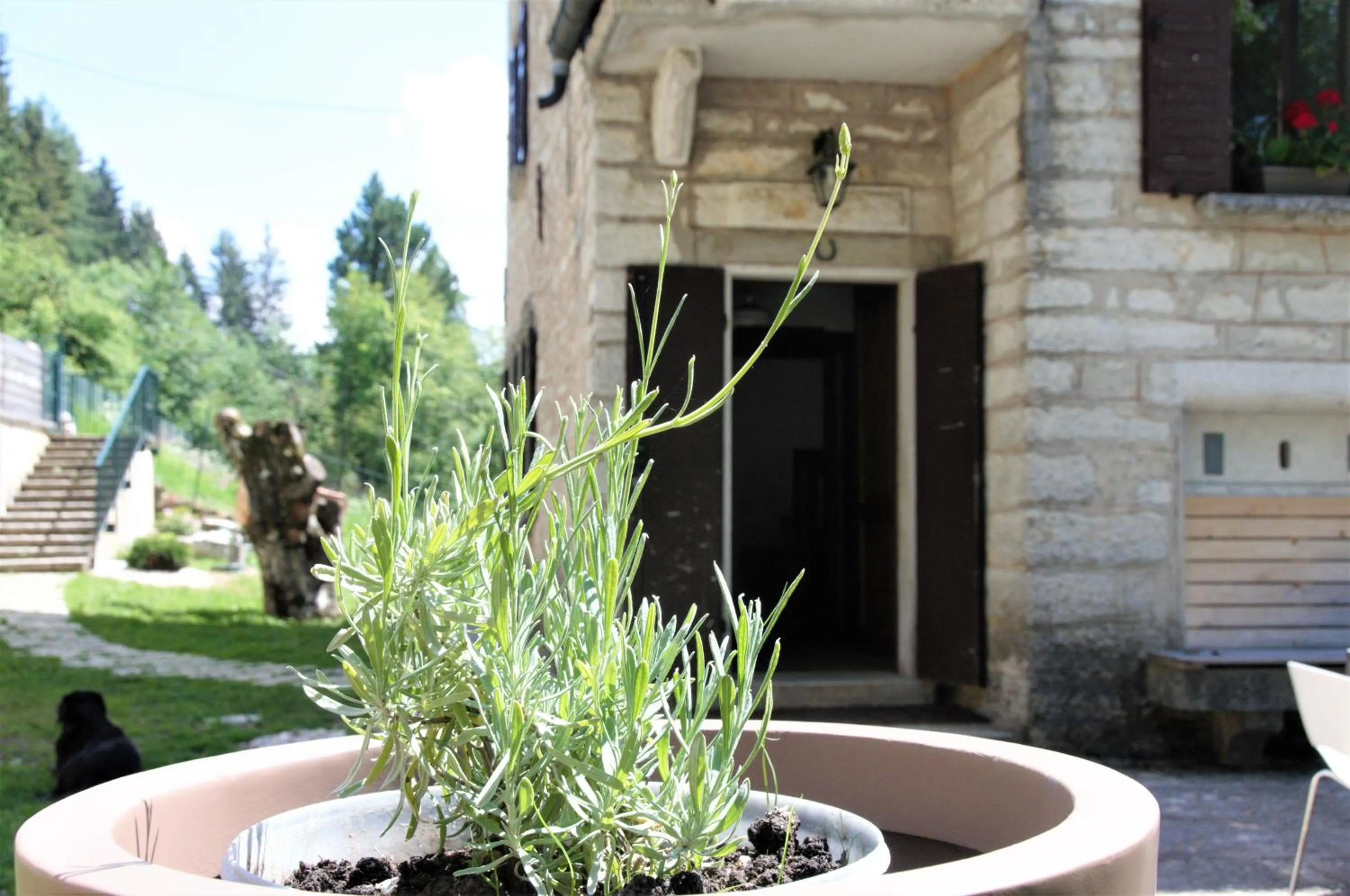 Garden in Giulio Mountain B&B