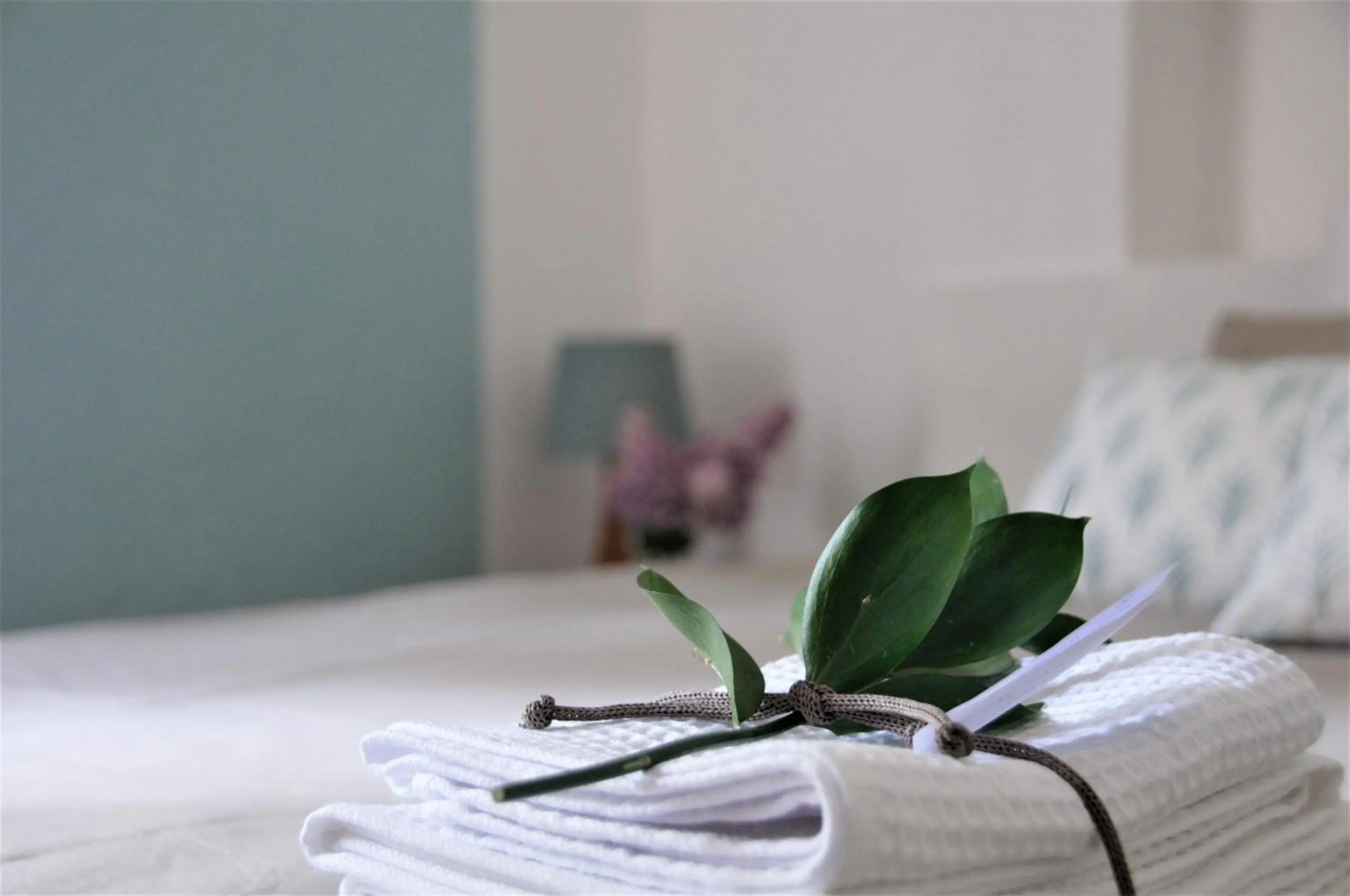 Bed in Giulio Mountain B&B