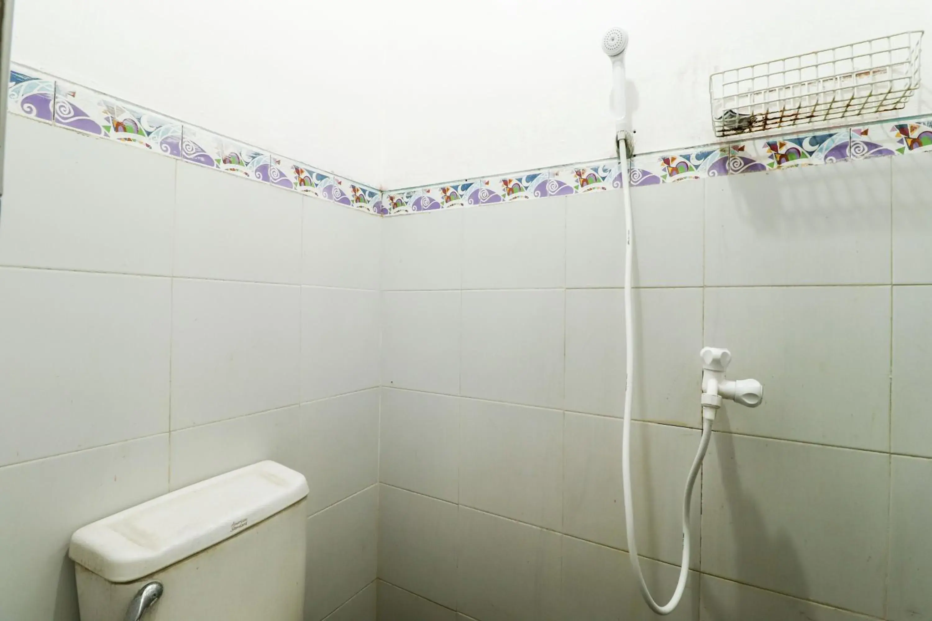 Kos VIP Josh Kos VIP Josh