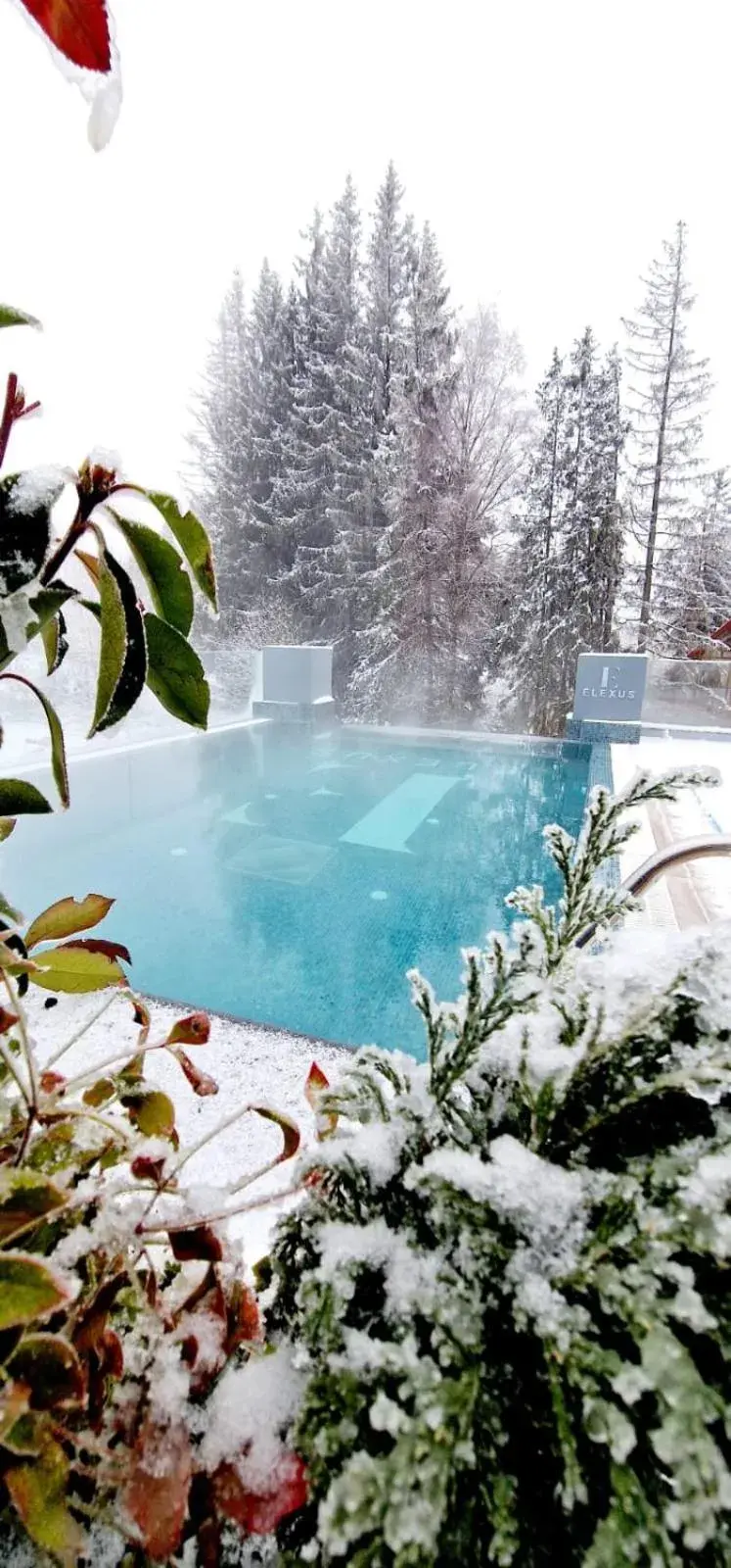 Elexus Boutique Elexus Boutique