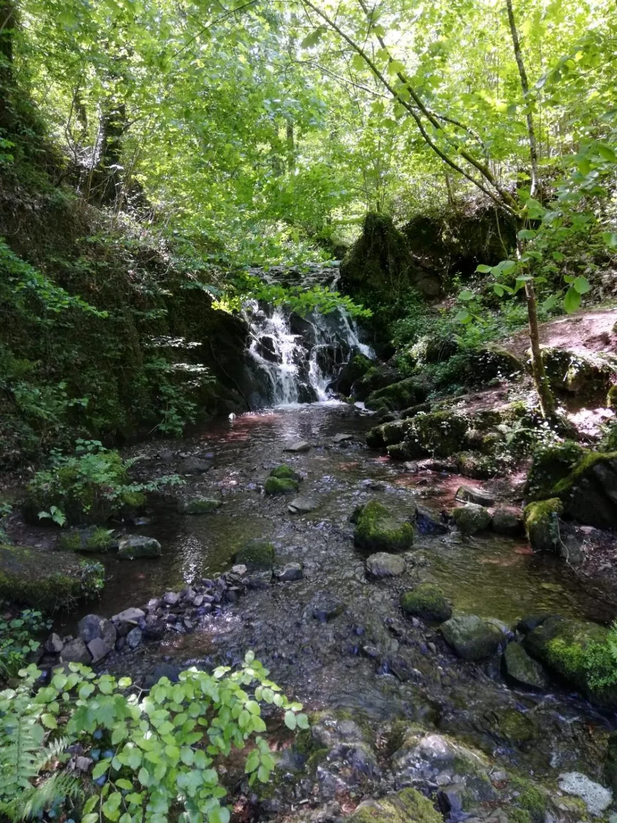 Hiking in Hotel Fürstenhof Bad Bertrich