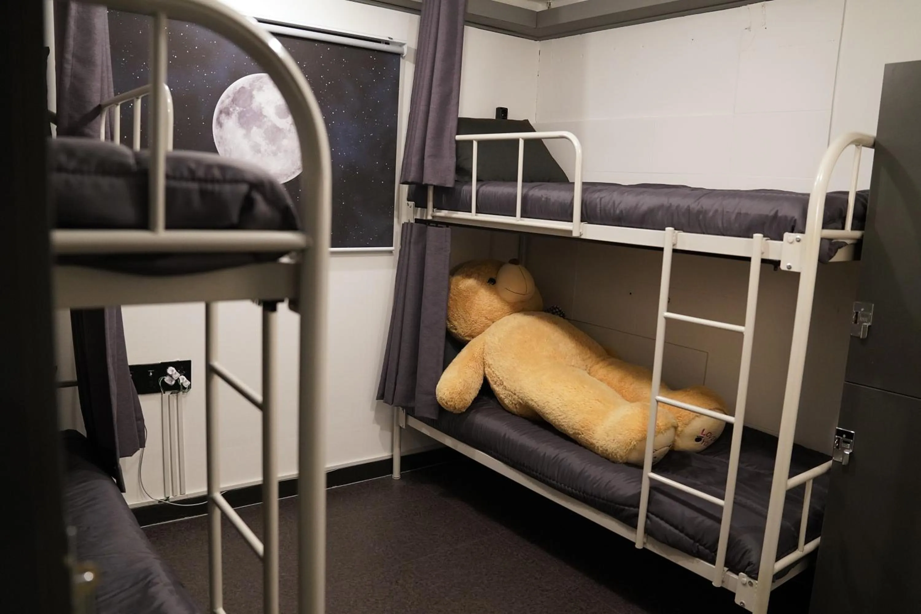 bunk bed, Bed in Apollo Guesthouse