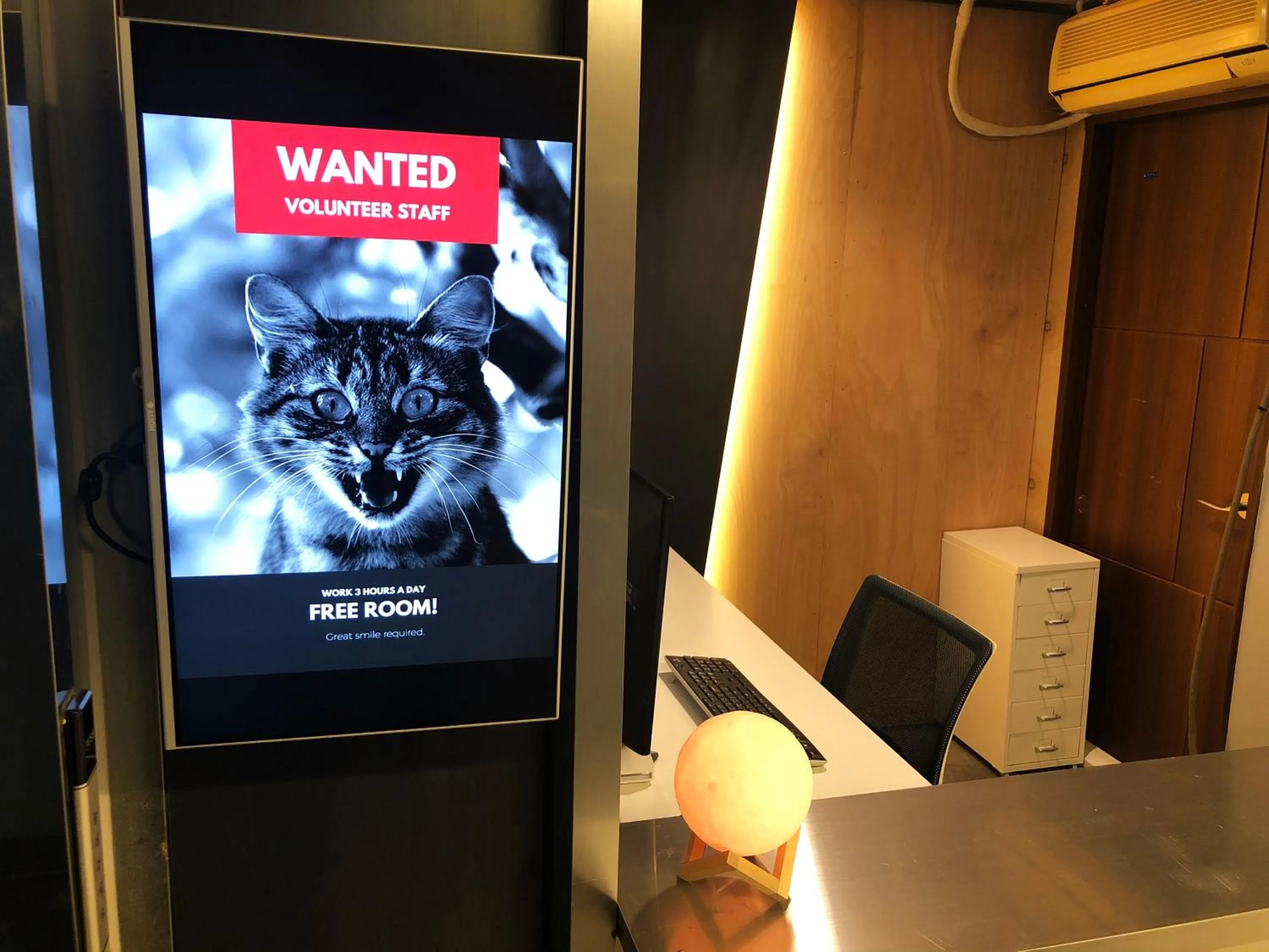 Lobby or reception in Apollo Guesthouse