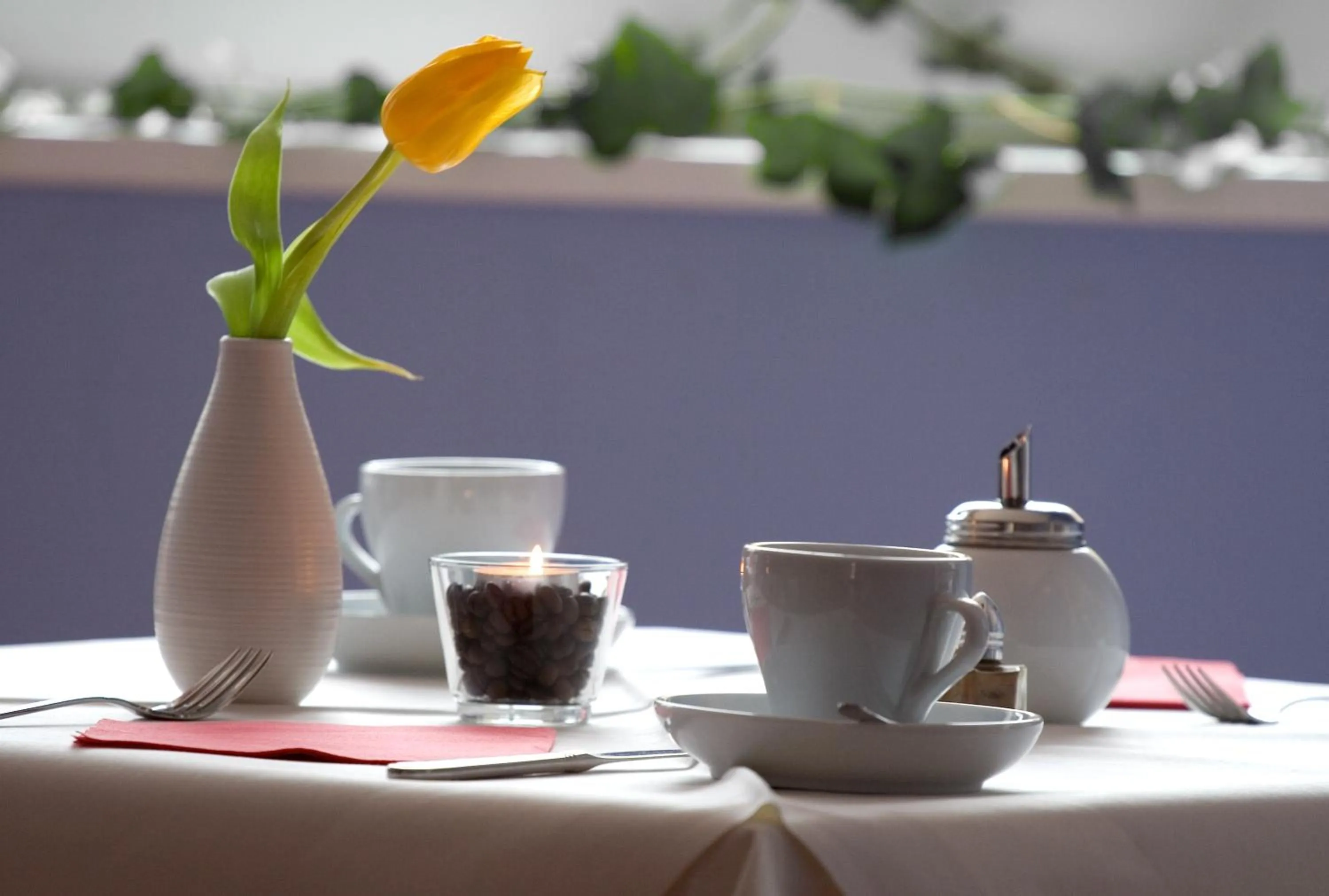 Non alcoholic drinks in Hotel Trabener Hof