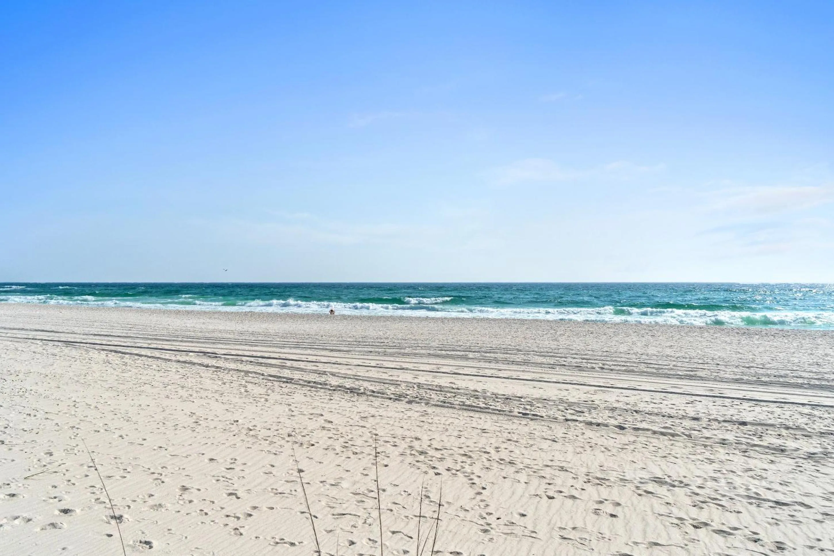 People in Harbur Arms - Pet Friendly