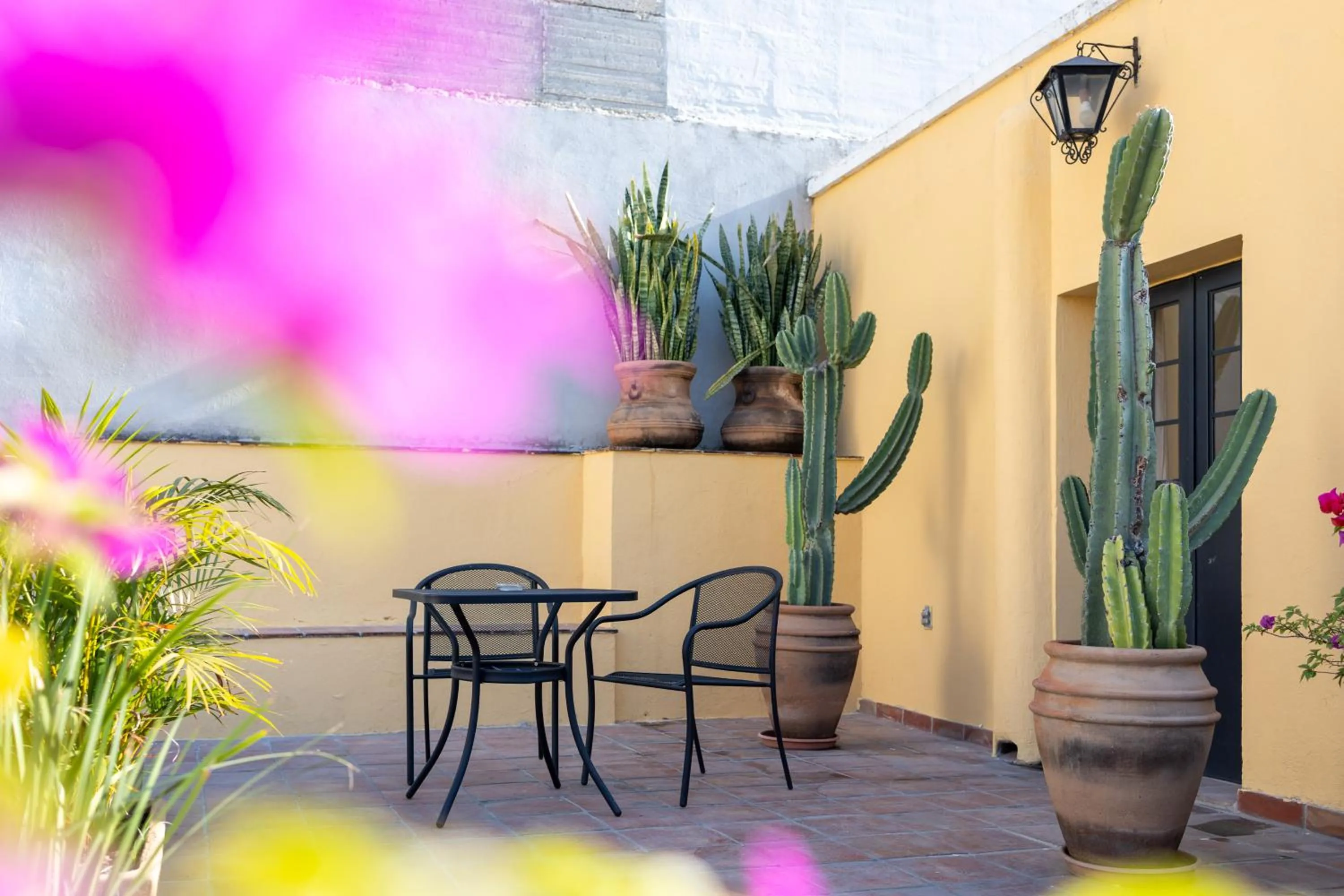 Patio in Casa Araiza