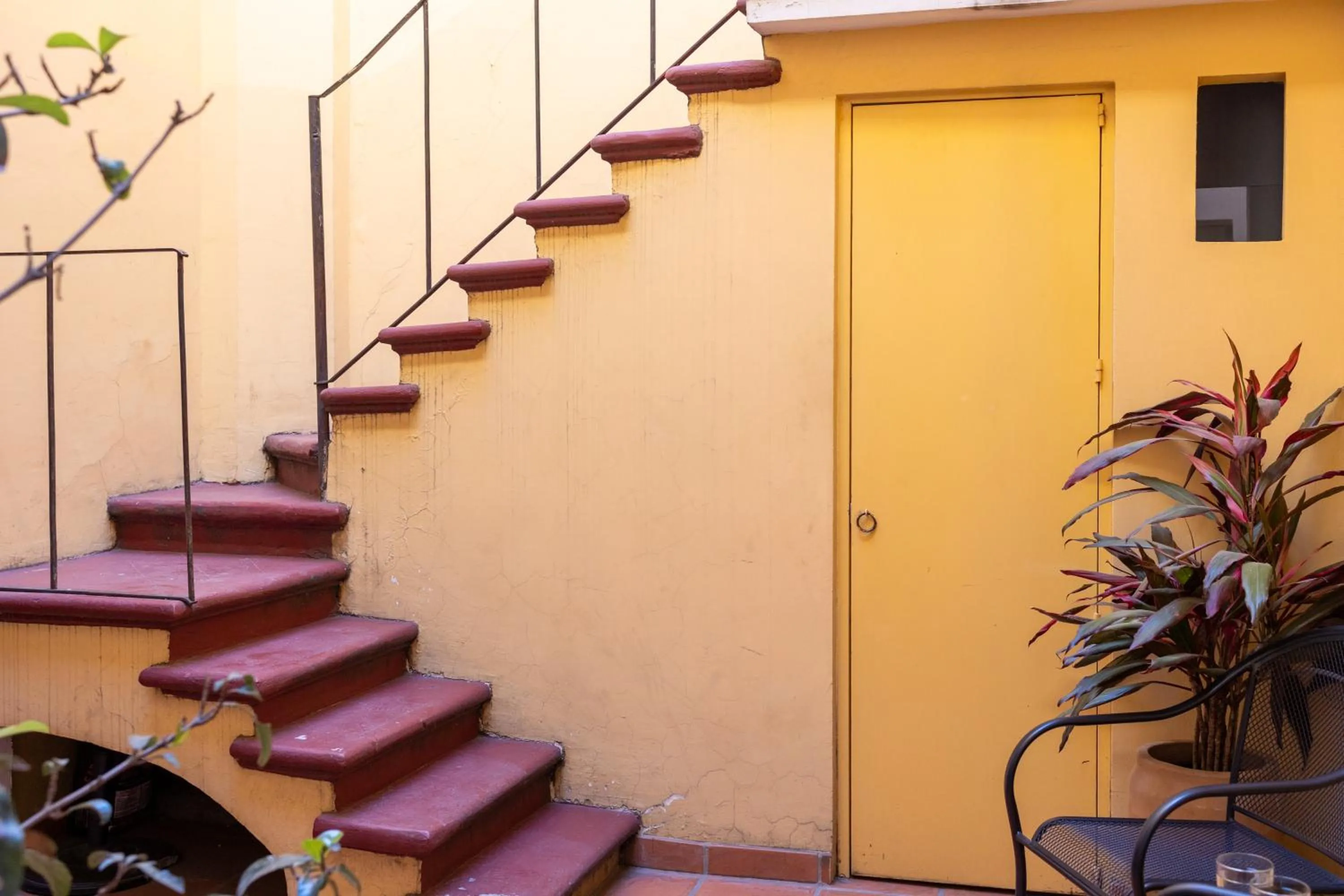 Patio in Casa Araiza