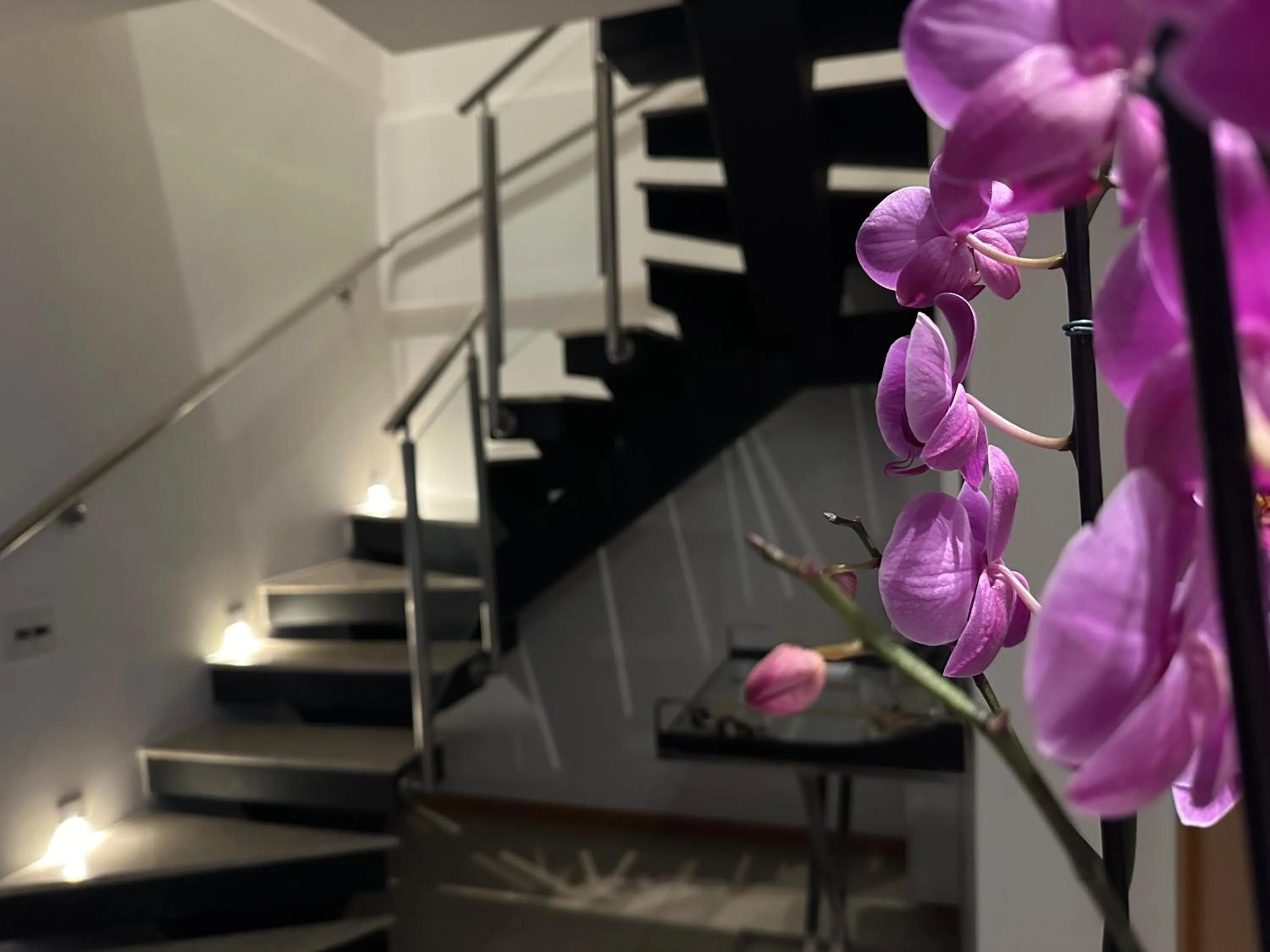 Living room in VISTA PARK SUL COBERTURA DUPLEX