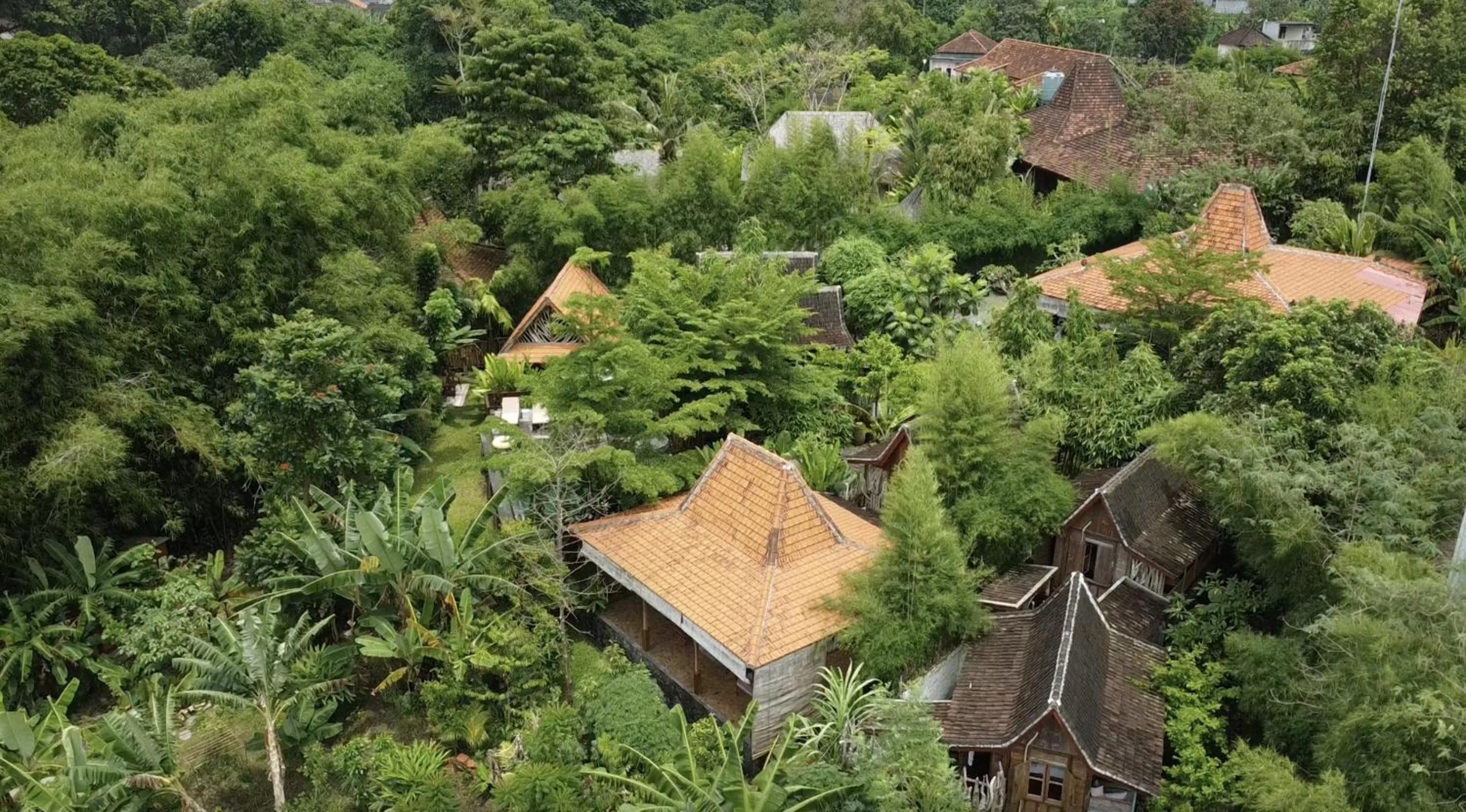 Property building in Ubuntu Bali Eco Yoga Retreat - CANGGU