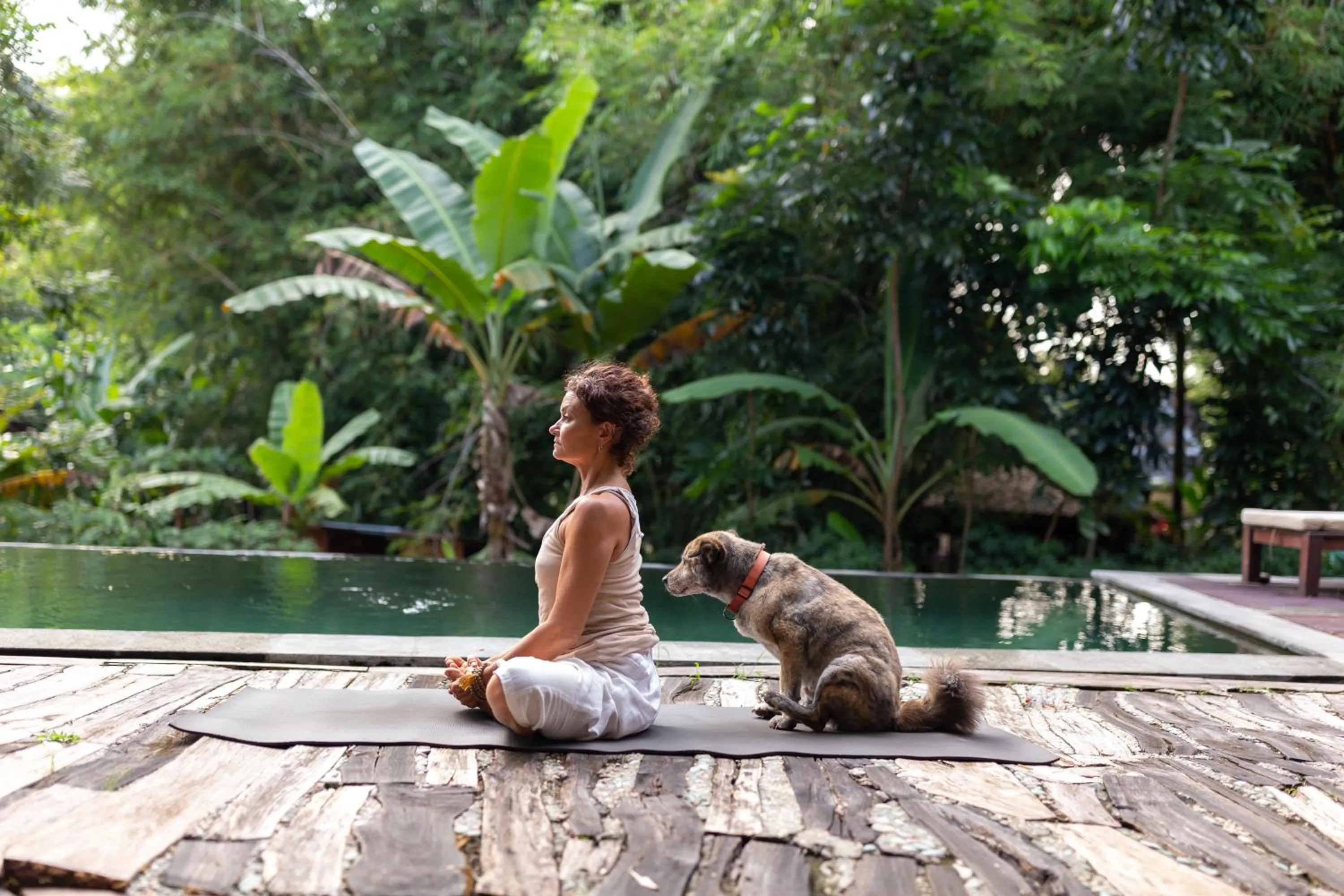 Swimming pool in Ubuntu Bali Eco Yoga Retreat - CANGGU