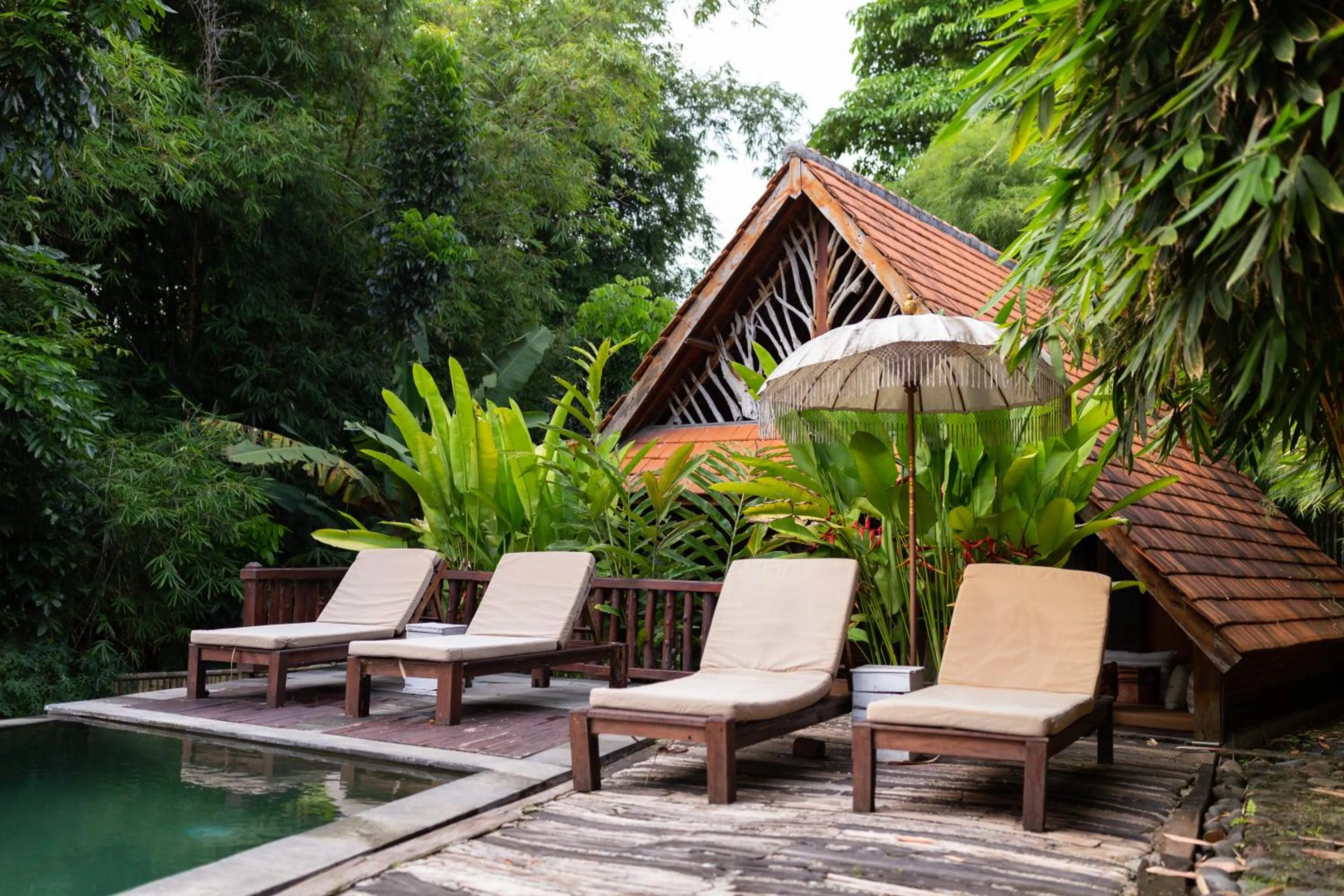 Swimming pool in Ubuntu Bali Eco Yoga Retreat - CANGGU