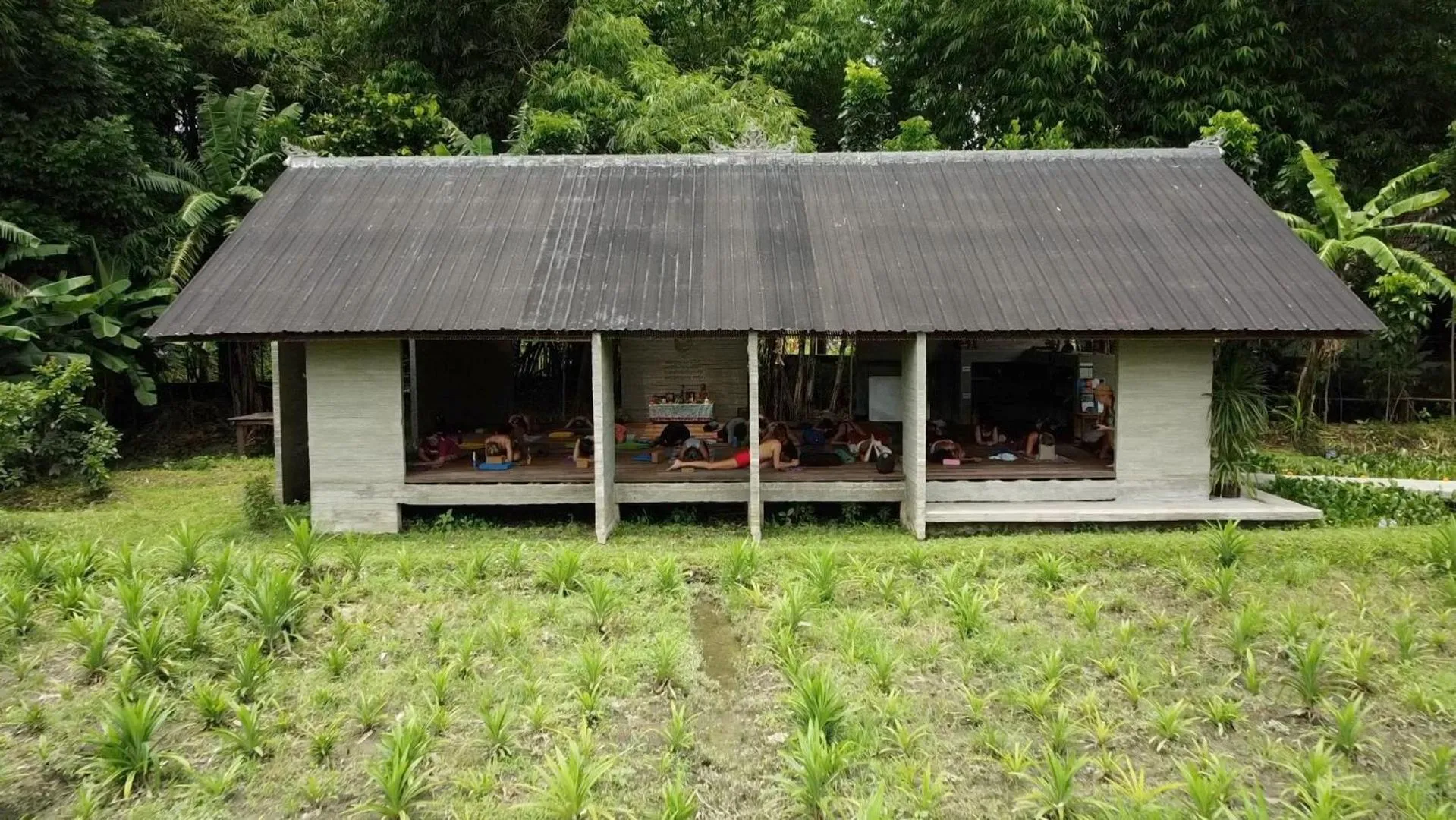 Property building in Ubuntu Bali Eco Yoga Retreat - CANGGU