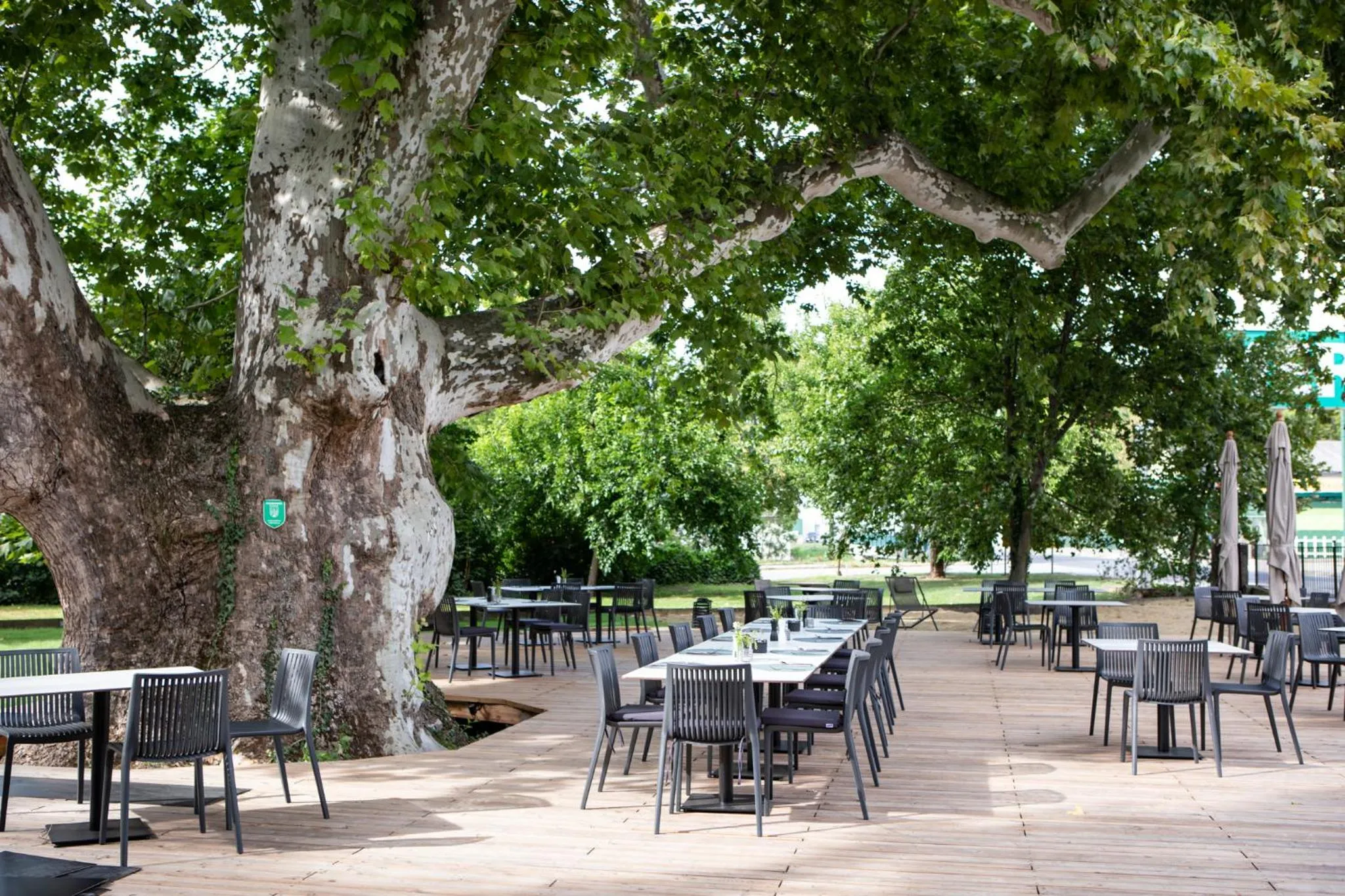 Restaurant/places to eat in Hotel Restaurant Joseph