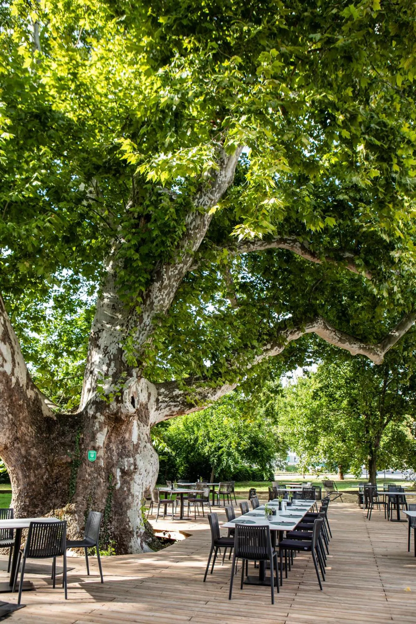 Restaurant/places to eat in Hotel Restaurant Joseph