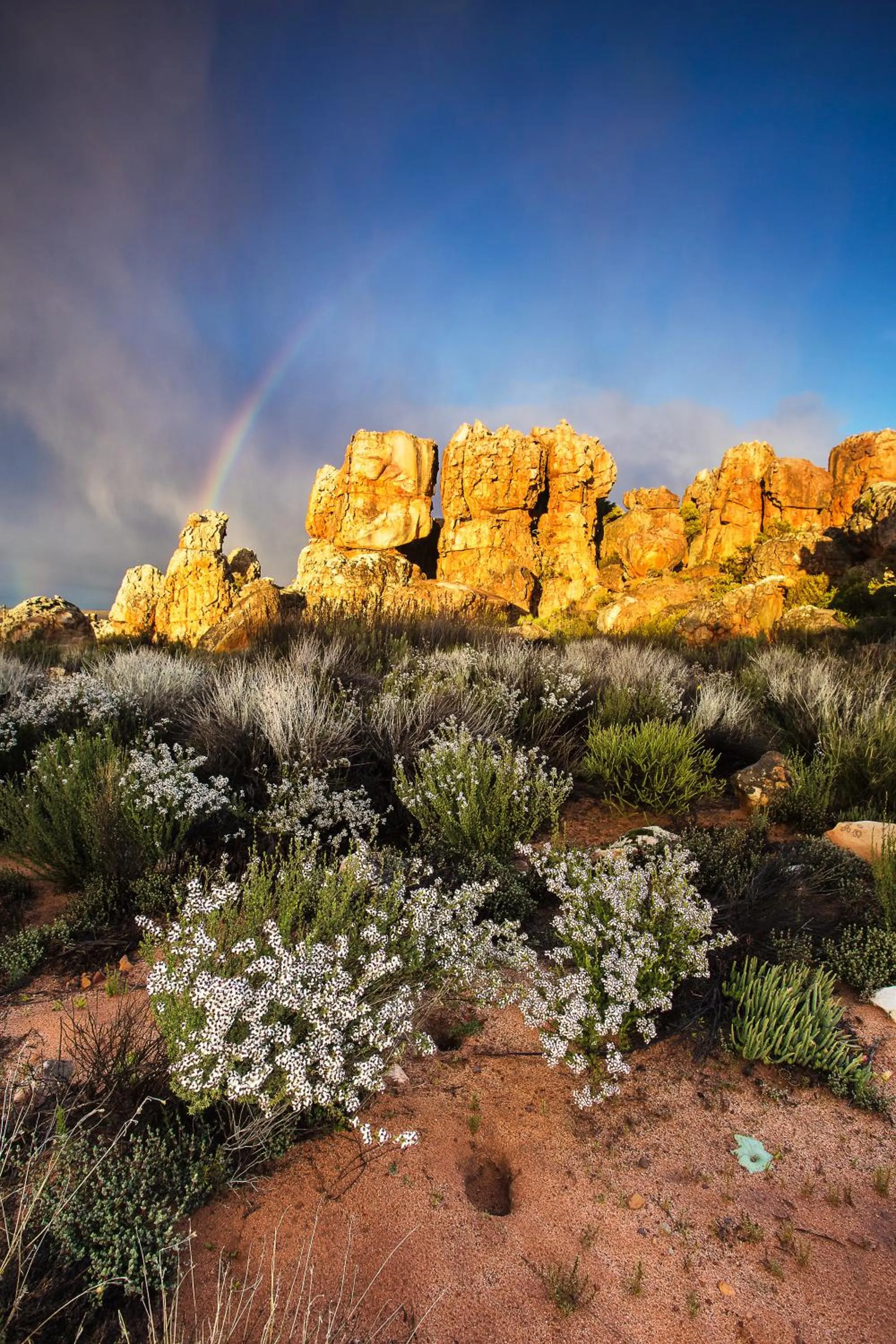 On site in Kagga Kamma Eco Lodge & Spa