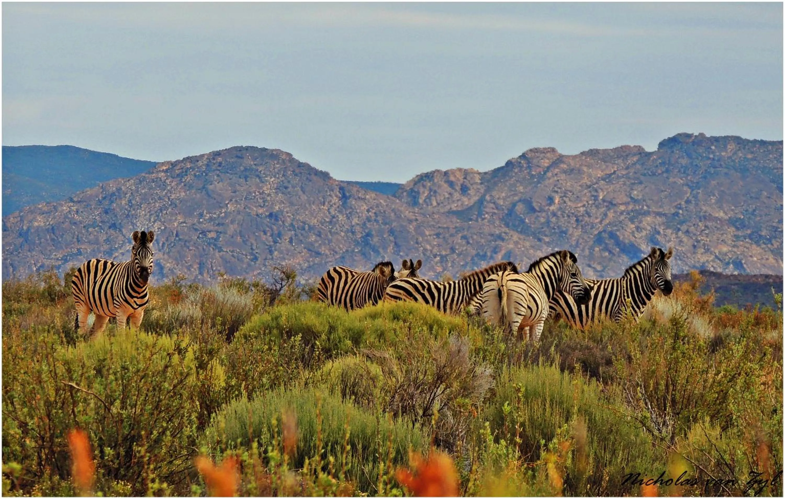Day in Kagga Kamma Eco Lodge & Spa
