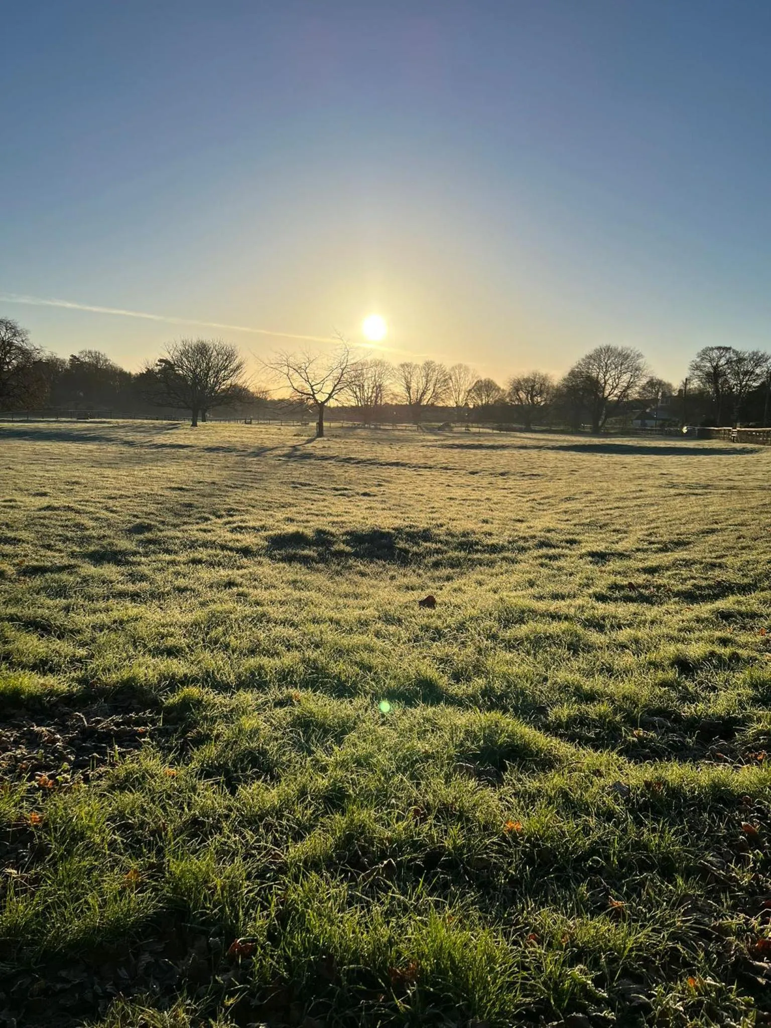 View (from property/room) in The Three Blackbirds