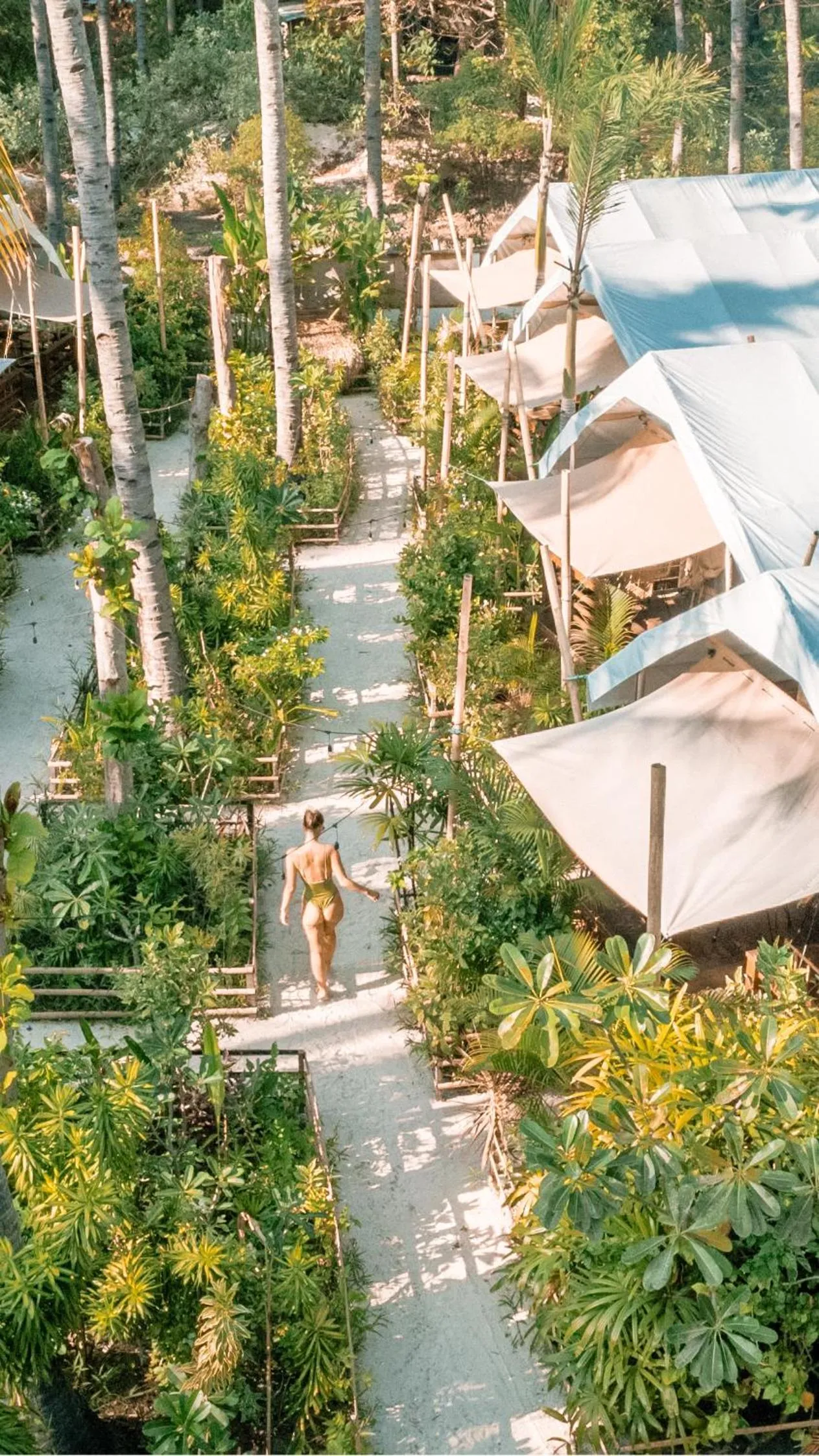 Property building in La Cocoteraie Ecolodge - Luxury Glamping Tents