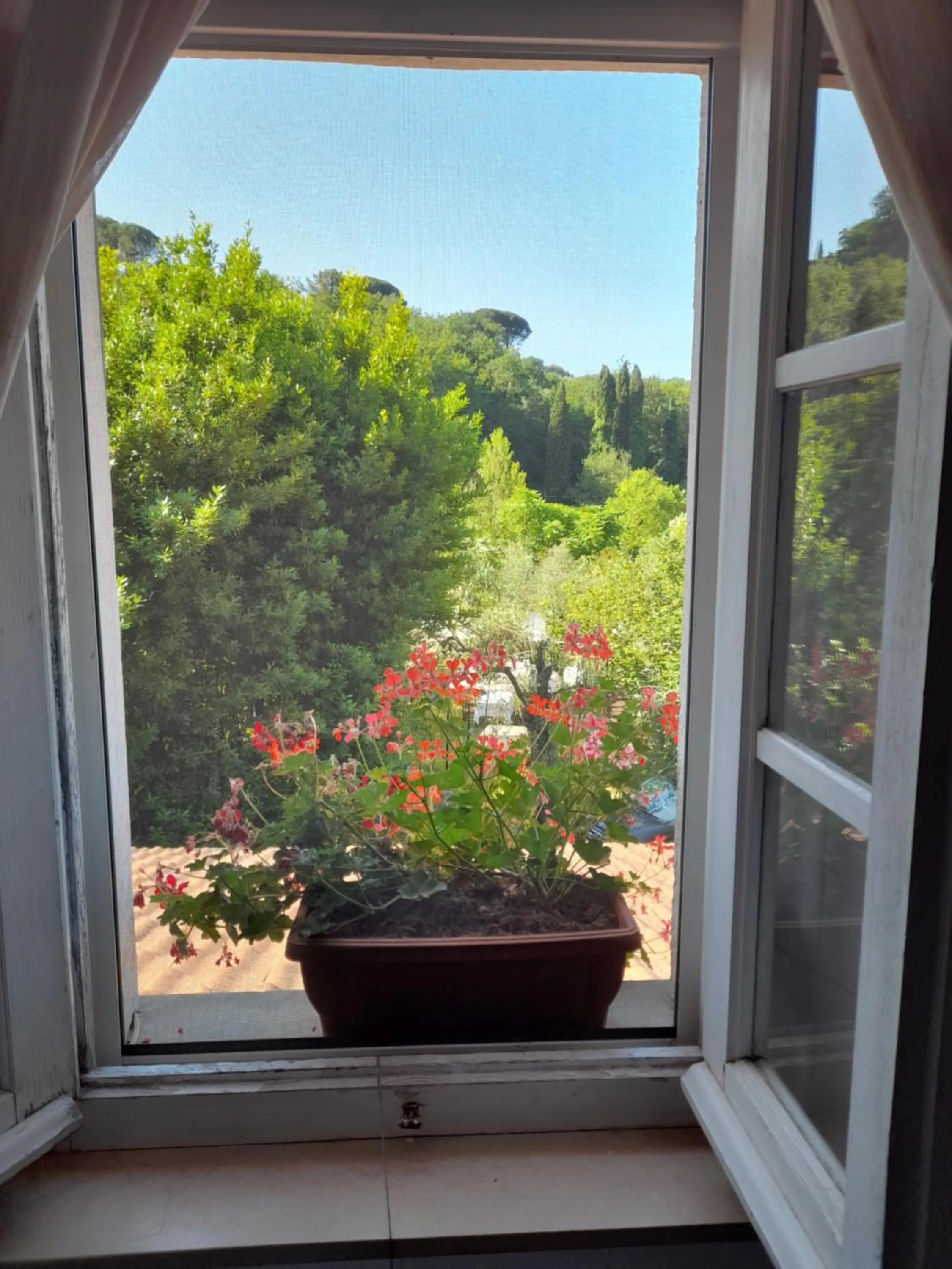 Gli Ulivi Bed & breakfast